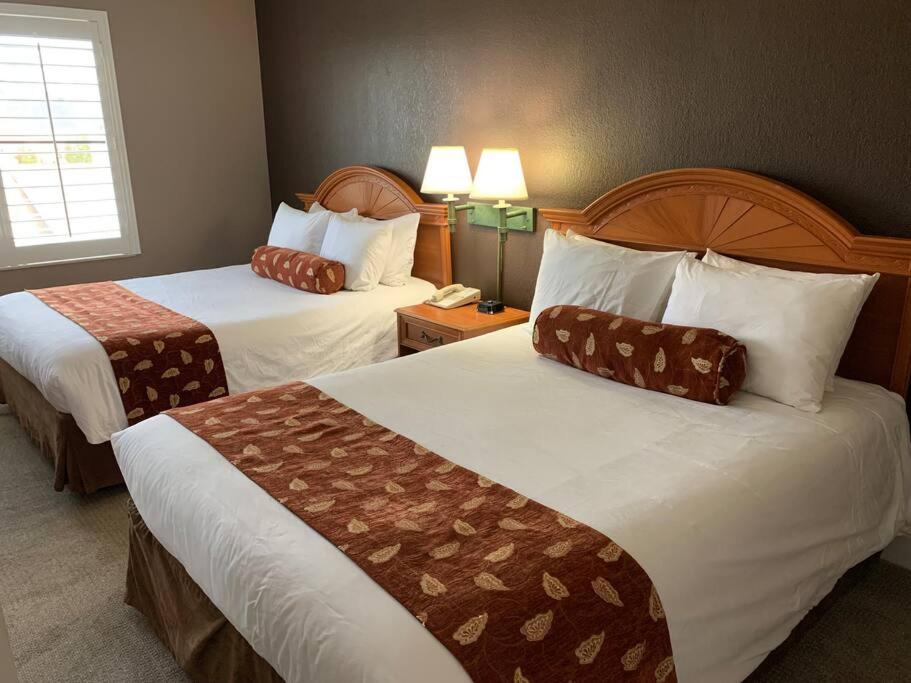 Perfect Place Suite Apt 2 Queen Beds FREE Parking
