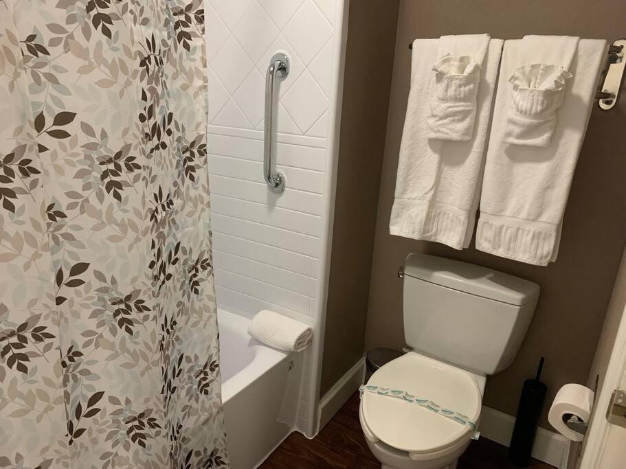 Perfect Place Suite Apt 2 Queen Beds FREE Parking