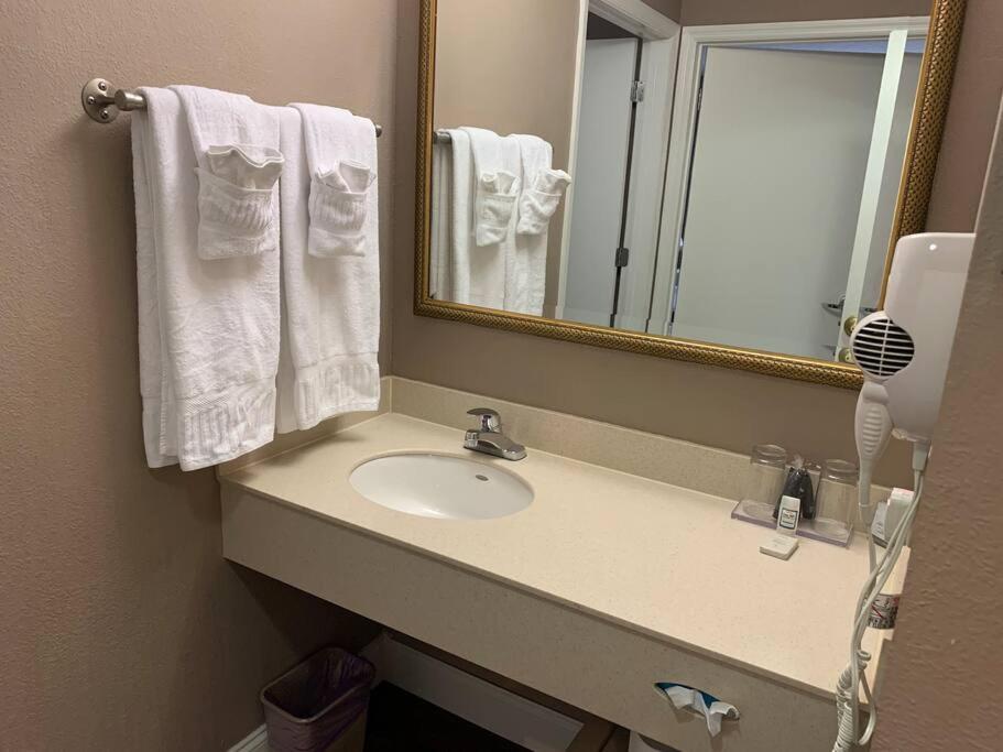Perfect Place Suite Apt 2 Queen Beds FREE Parking
