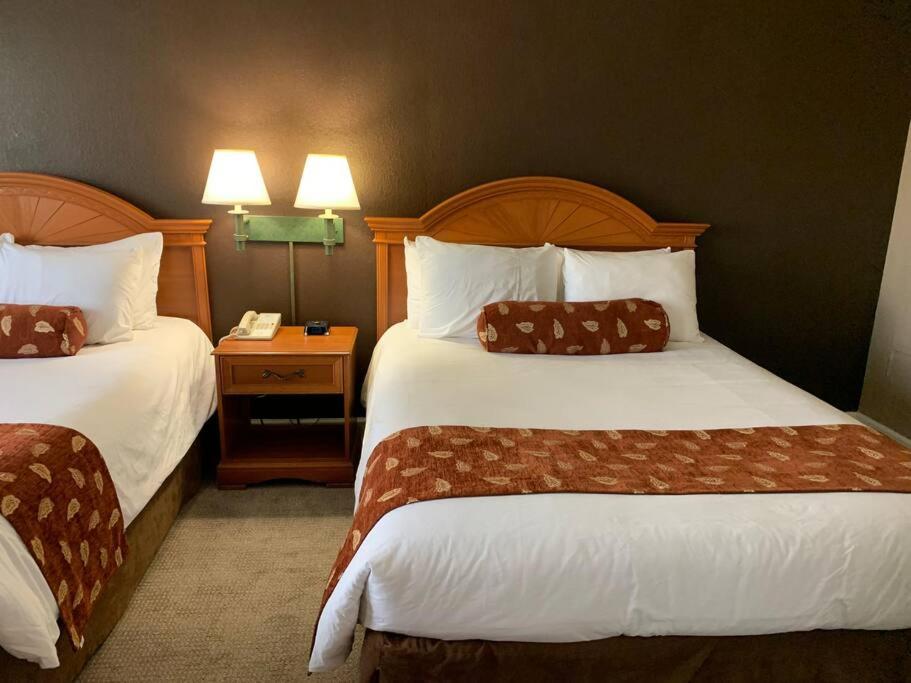 Perfect Place Suite Apt 2 Queen Beds FREE Parking