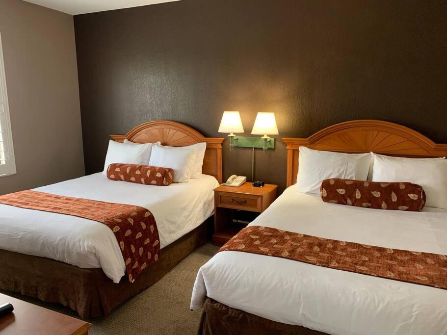 Perfect Place Suite Apt 2 Queen Beds FREE Parking