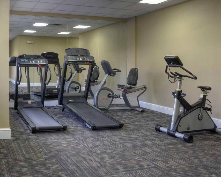Perfect Place Suite Apt 2 Queen Beds FREE Parking