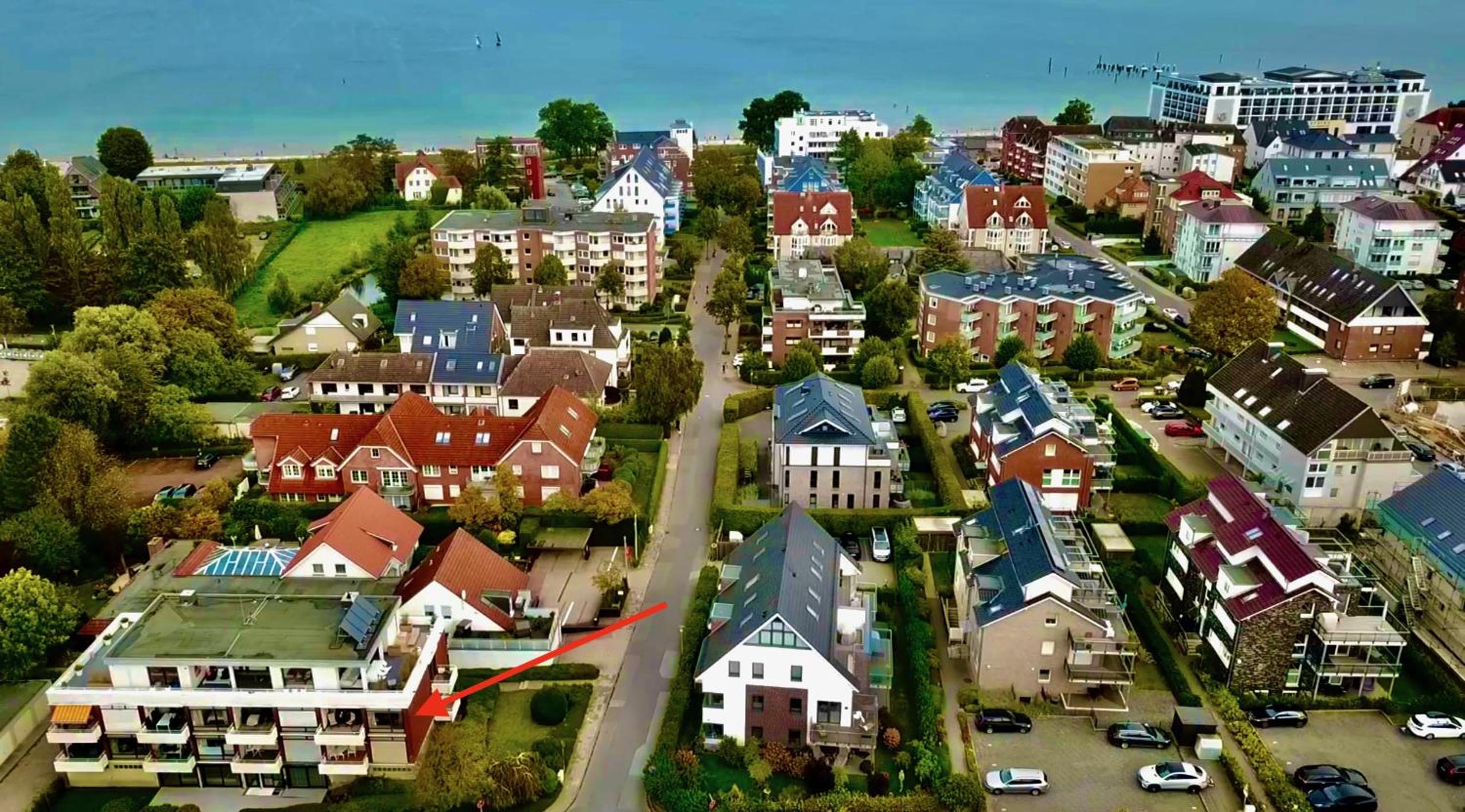 Silbermöwe (Scharbeutz)
