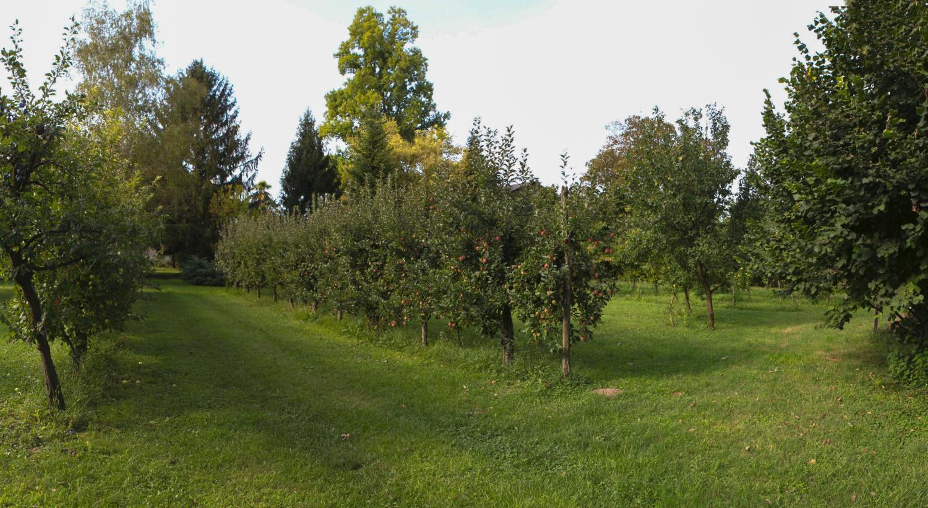 Photo 26