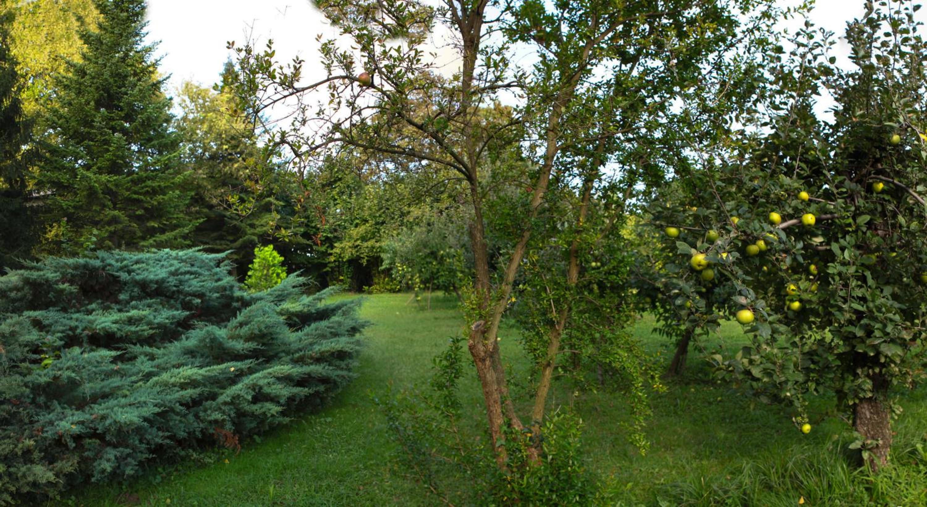 Photo 27
