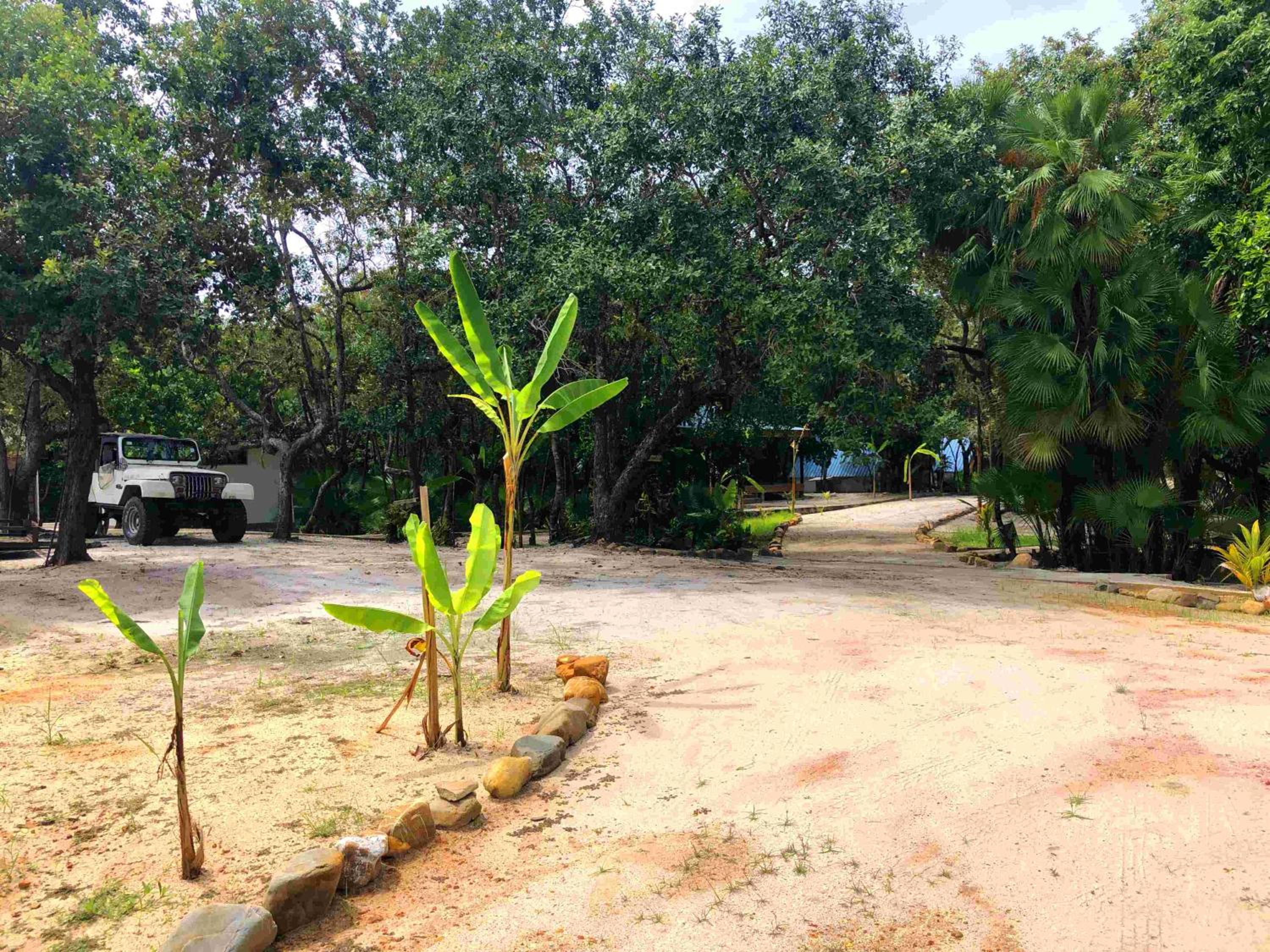 Kin Resort Lodge