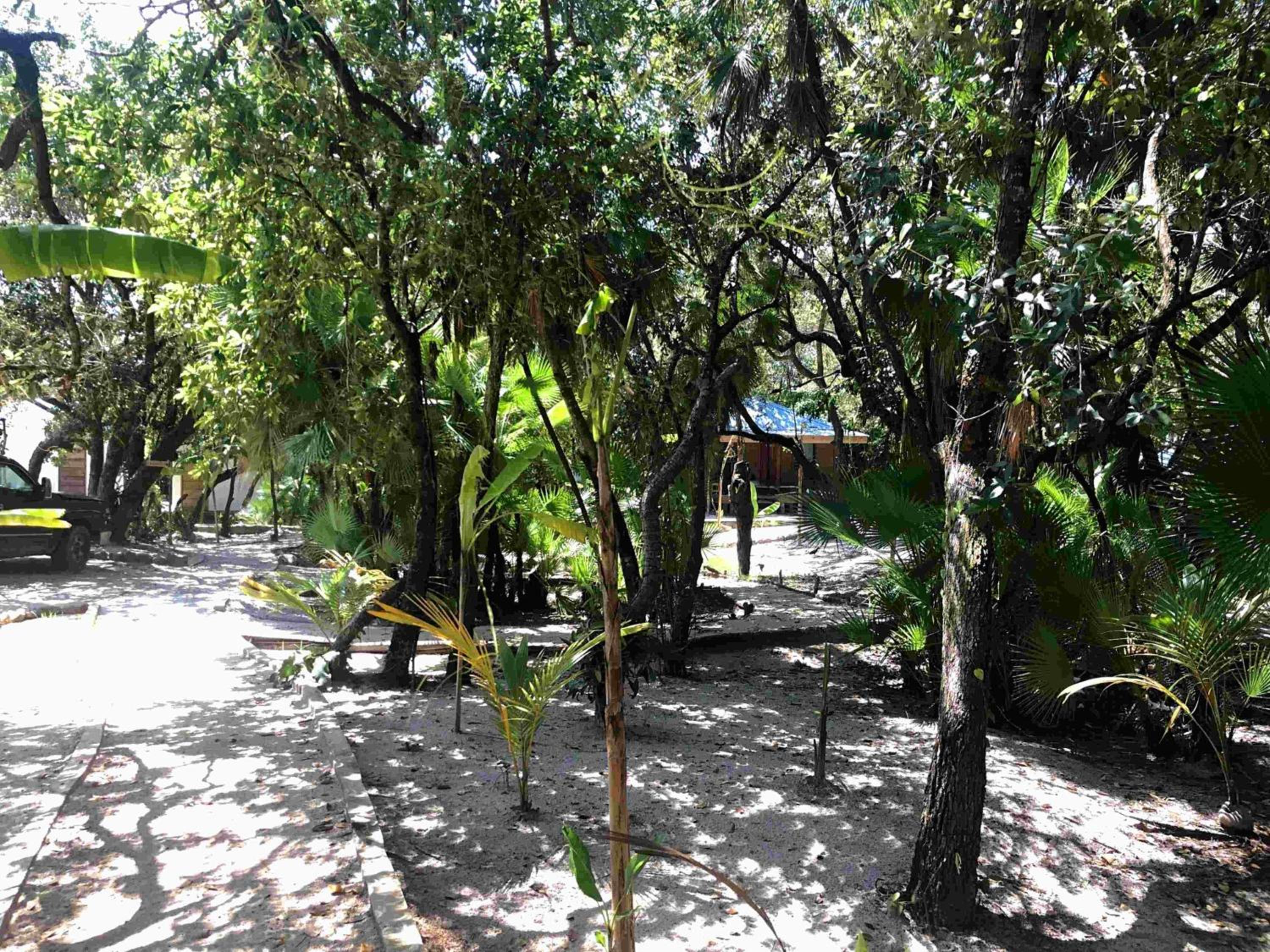 Kin Resort Lodge