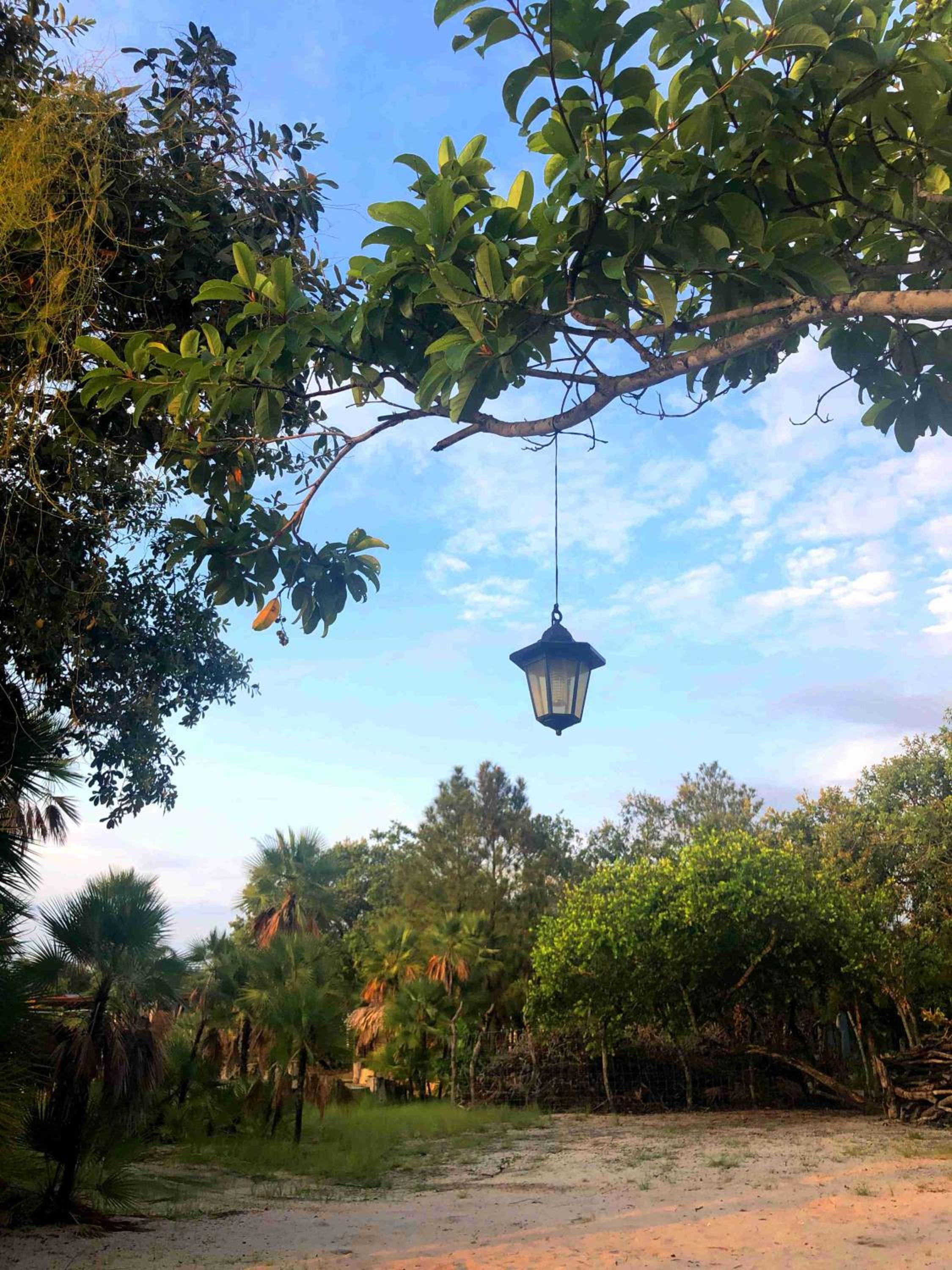 Kin Resort Lodge