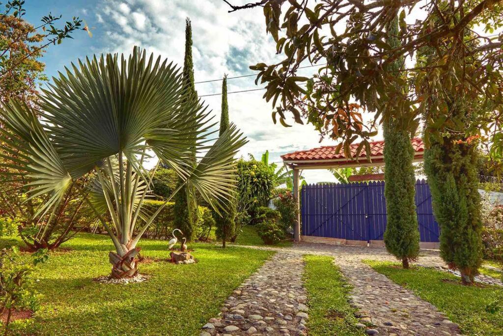 Las Palmas Casa de Campo