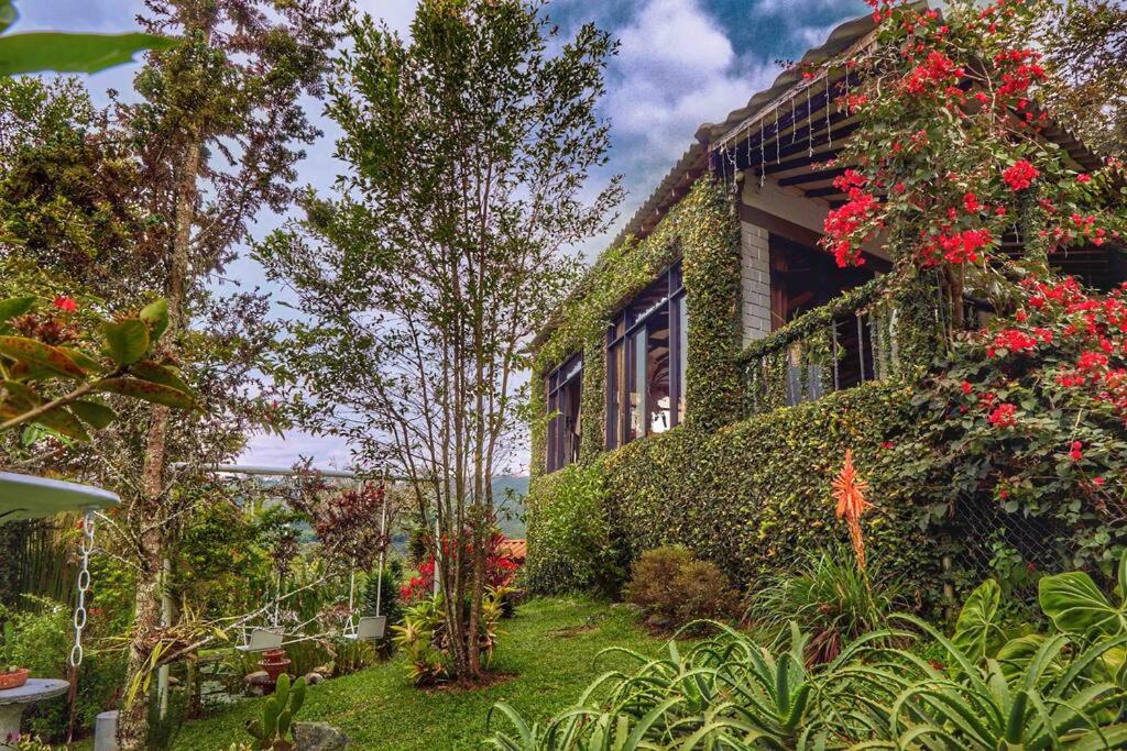 Las Palmas Casa de Campo