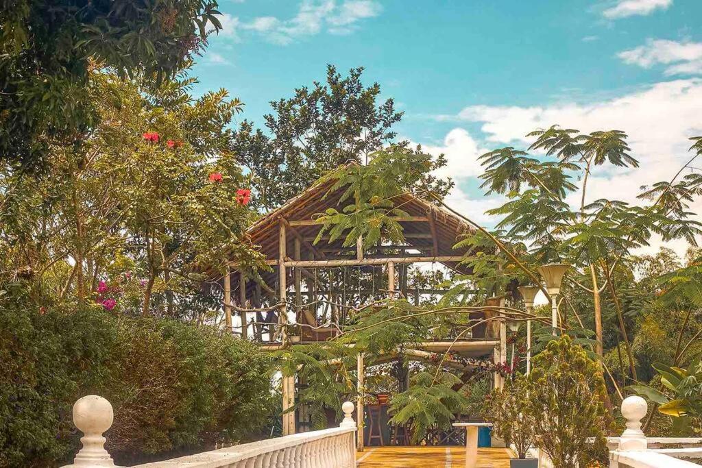 Las Palmas Casa de Campo