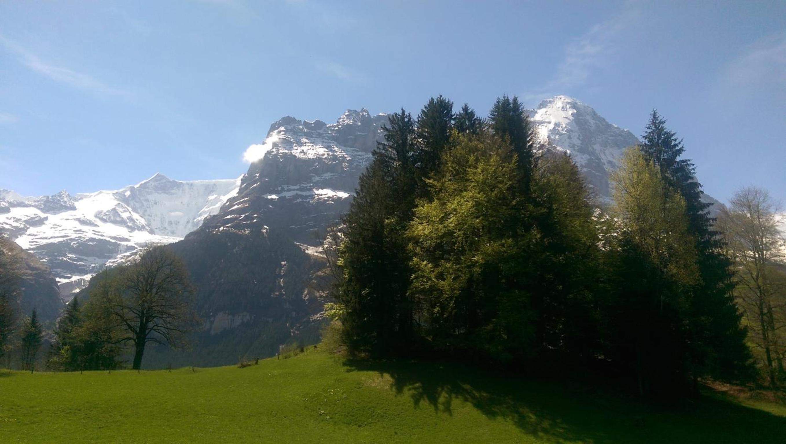 MOM - Alpine Boutique Apartments, Grindelwald gletscher, Eiger View Terrace Studio
