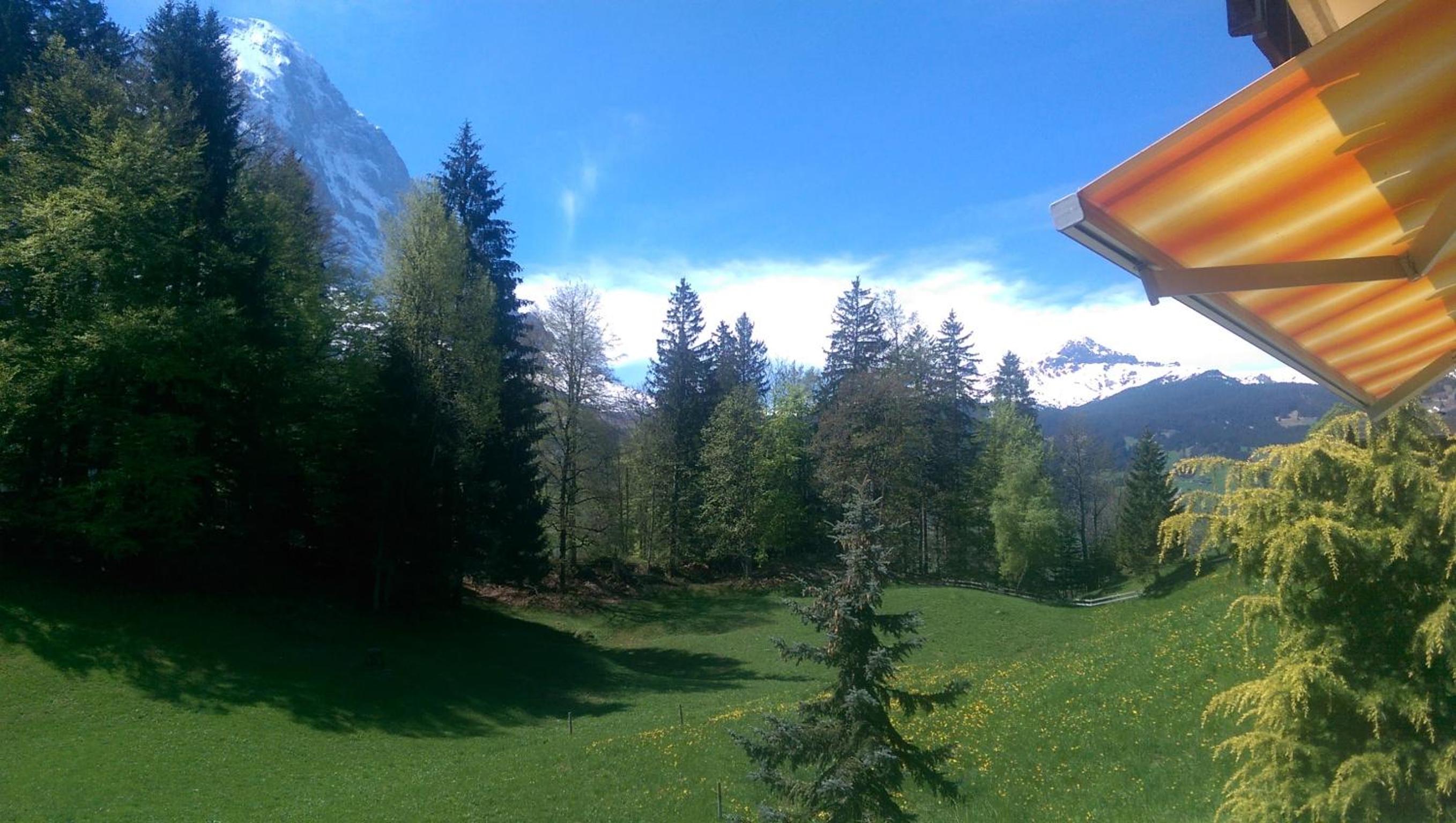 MOM - Alpine Boutique Apartments, Grindelwald gletscher, Eiger View Terrace Studio