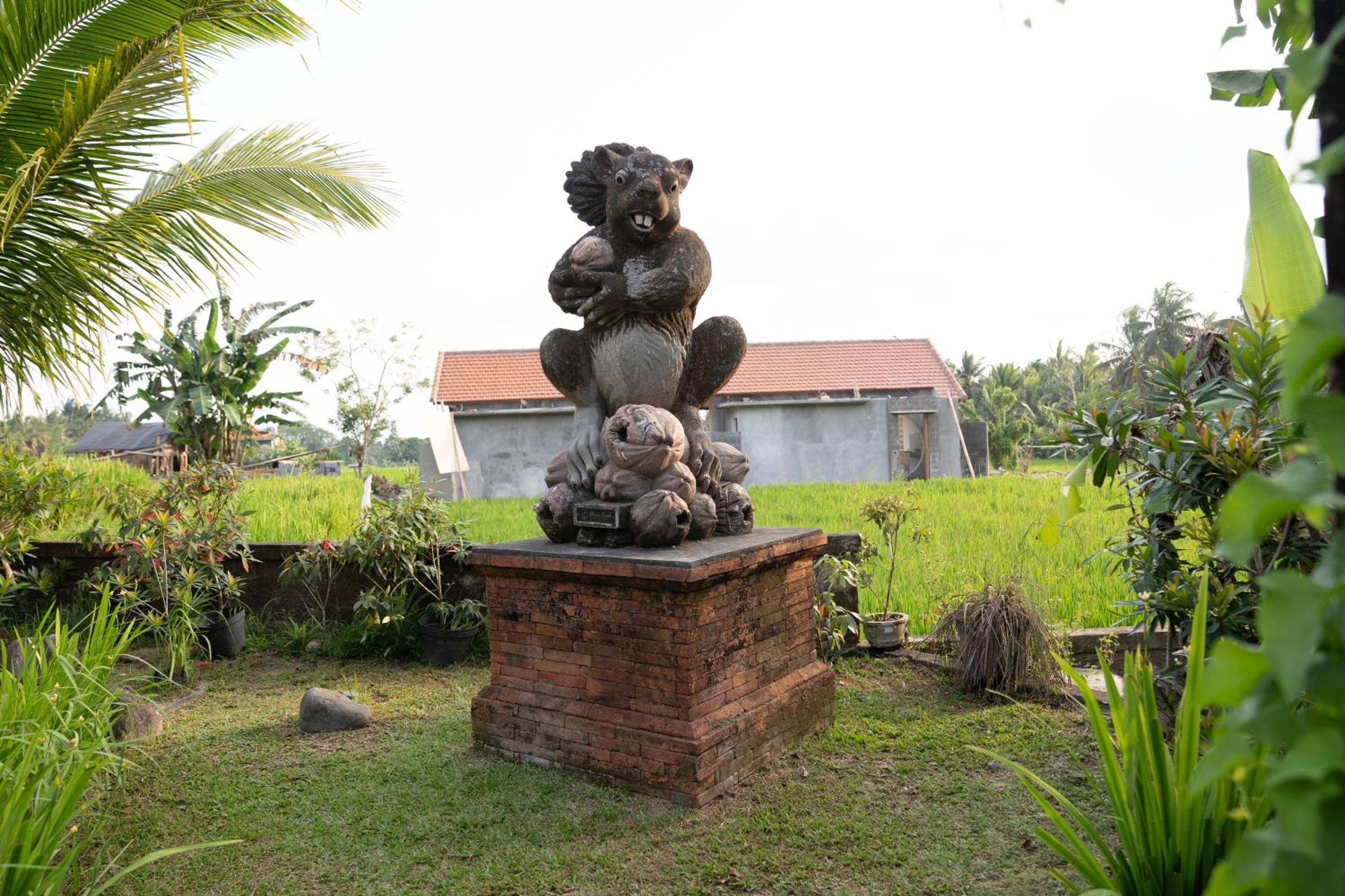 Photo 17