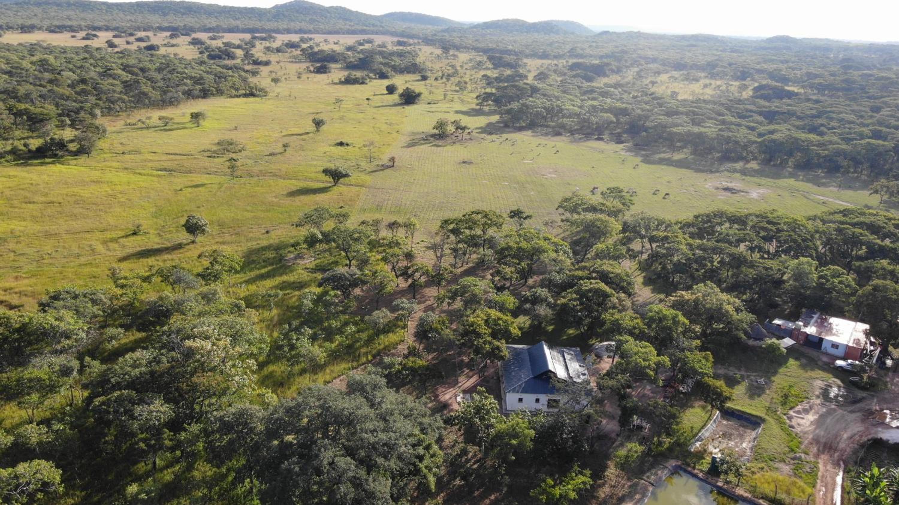 Warthog House-cozy country house, 3 Bed view 5