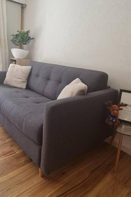 Appartement rénové avec charme