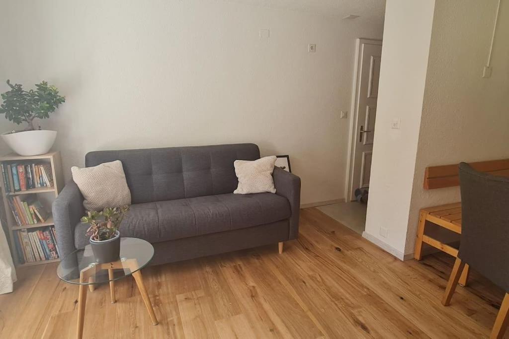 Appartement rénové avec charme