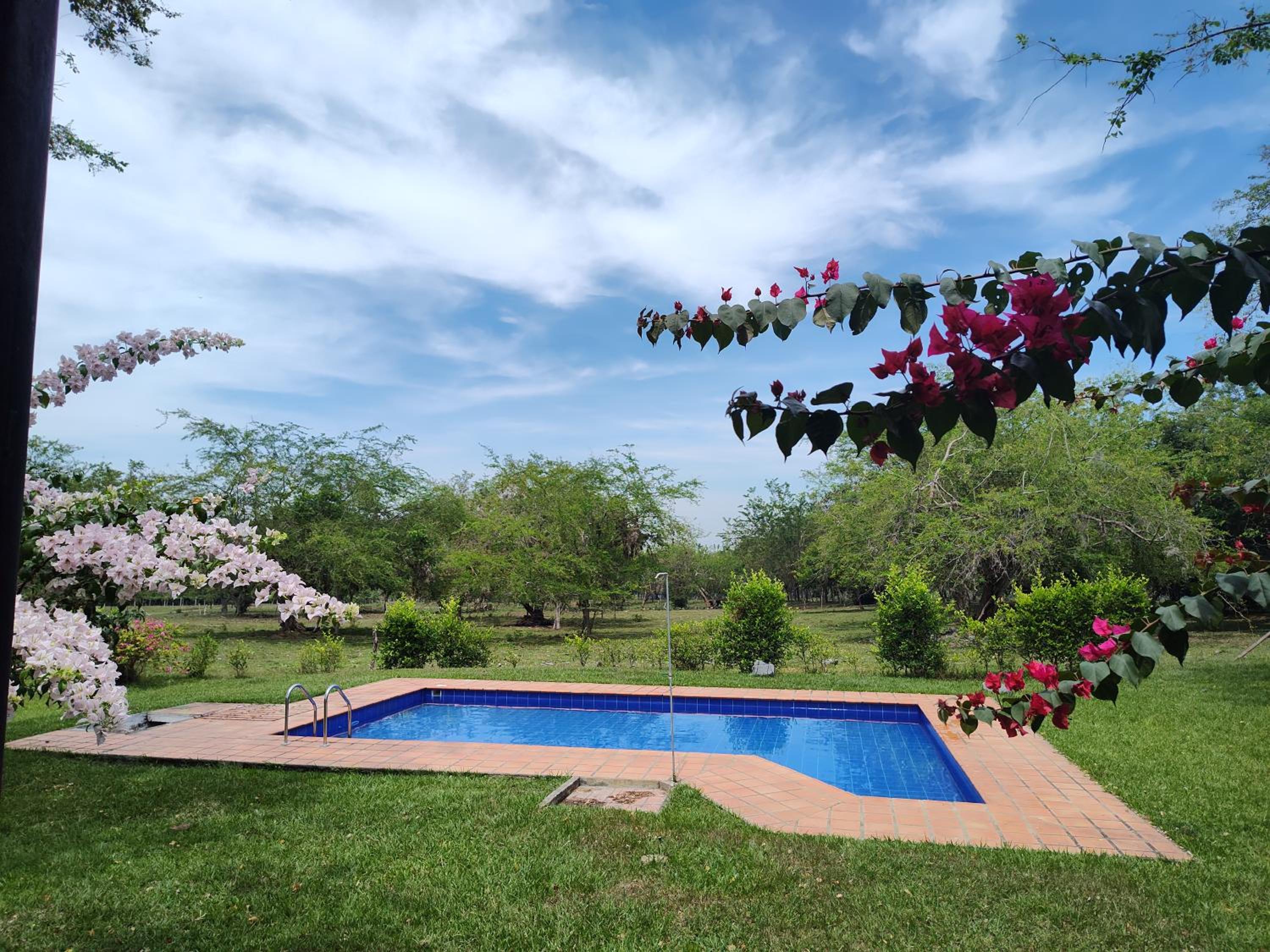 Finca Bellavista