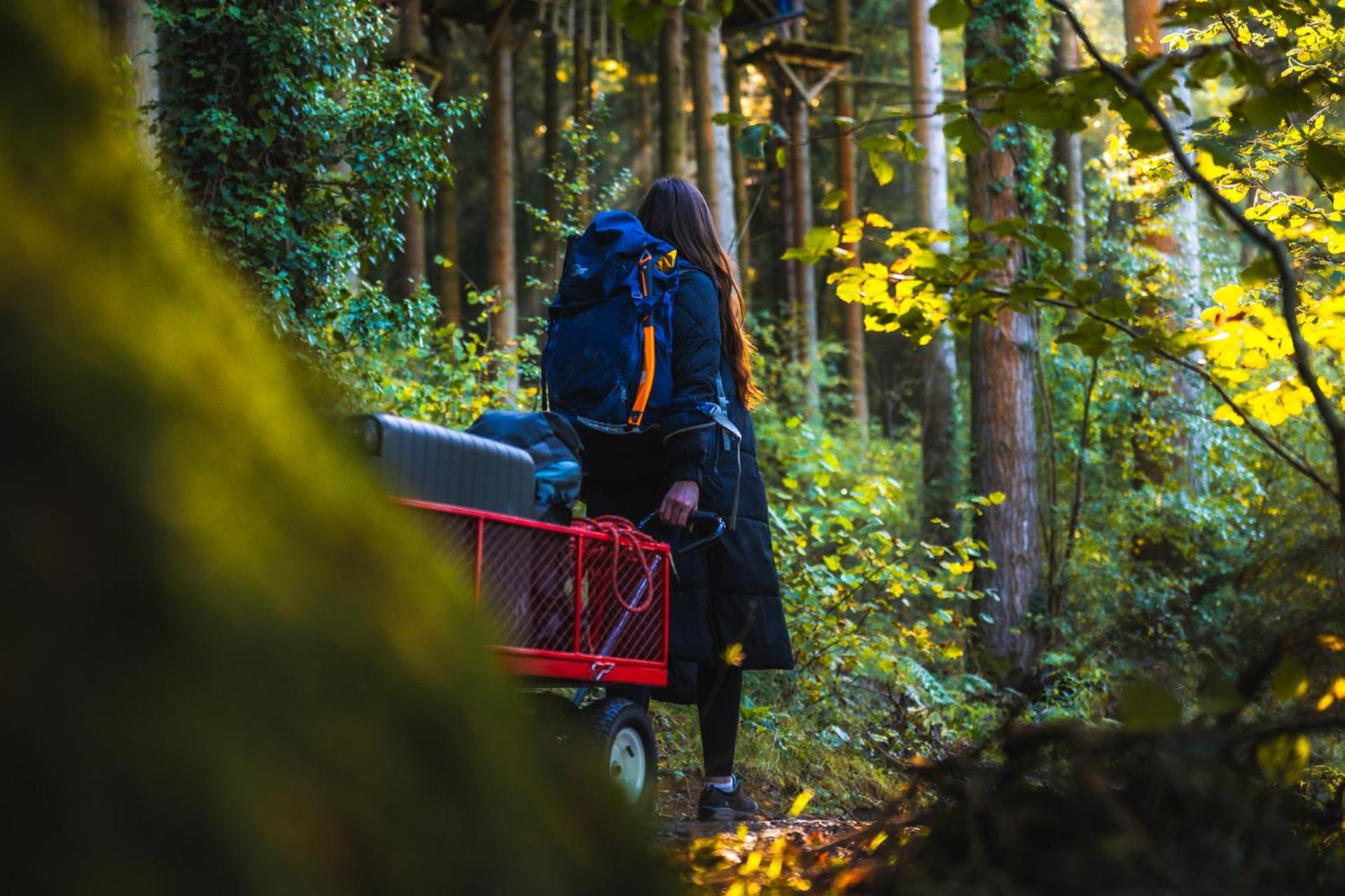 Forest Lodges