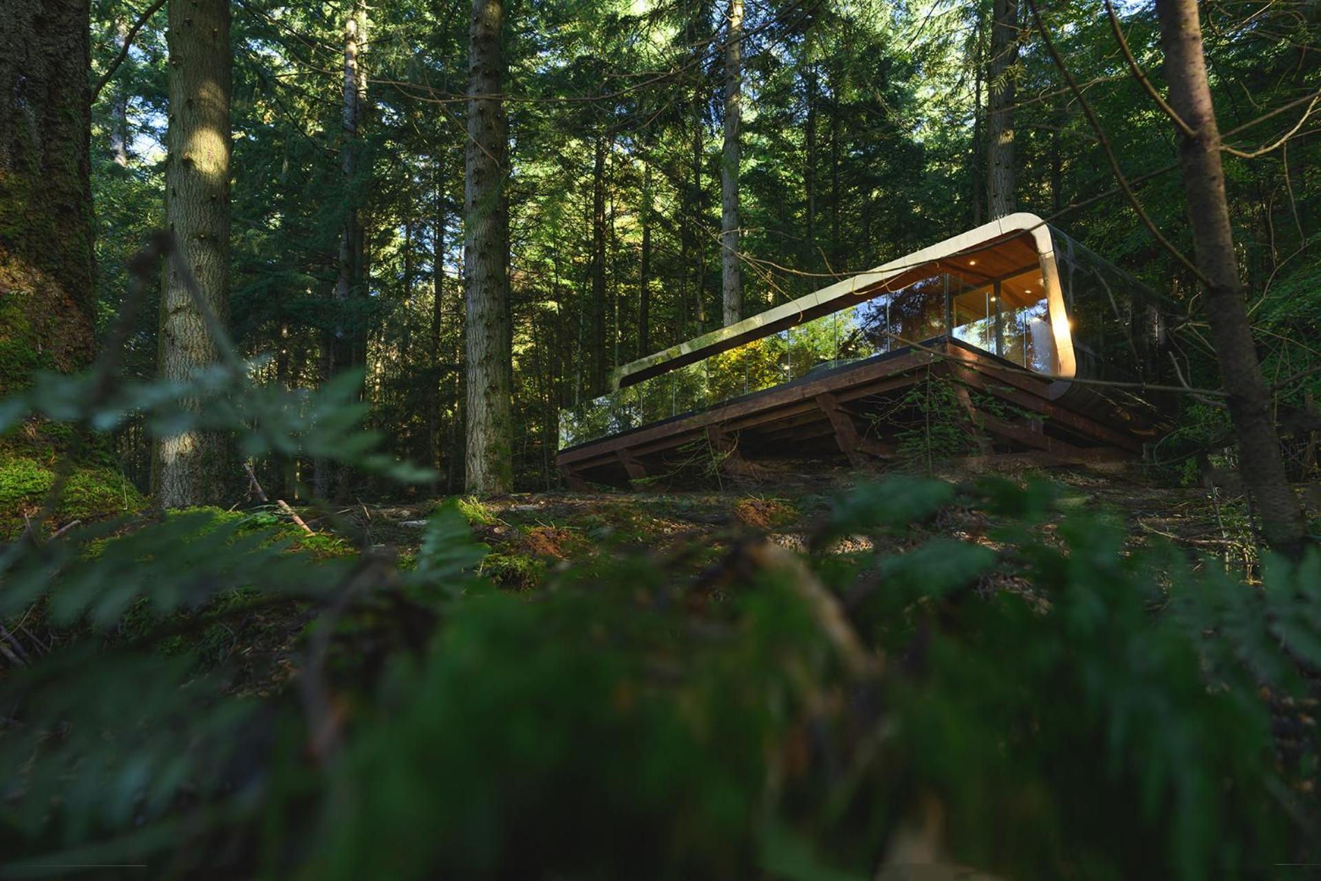 Forest Lodges
