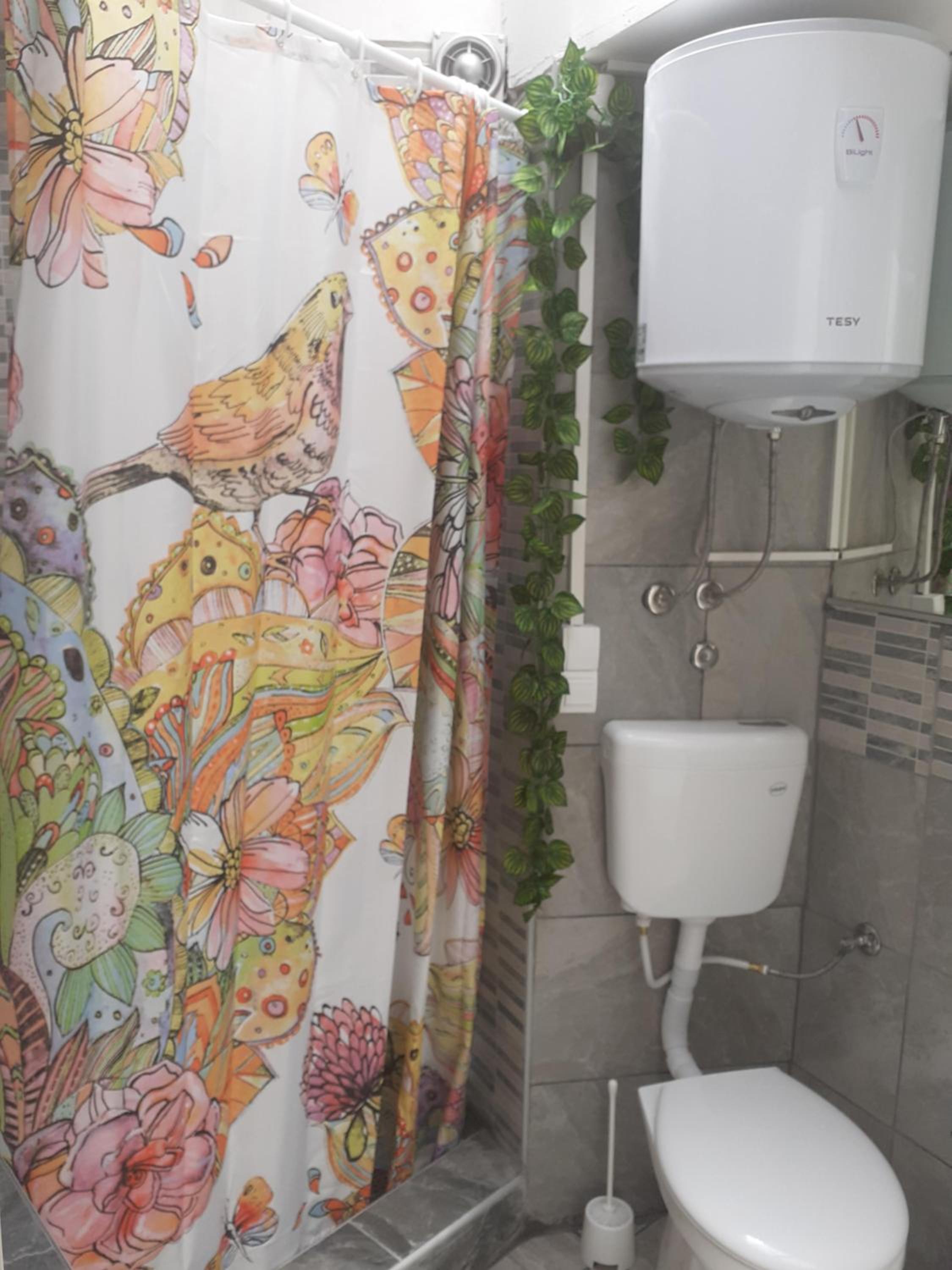 Apartmani Zaara