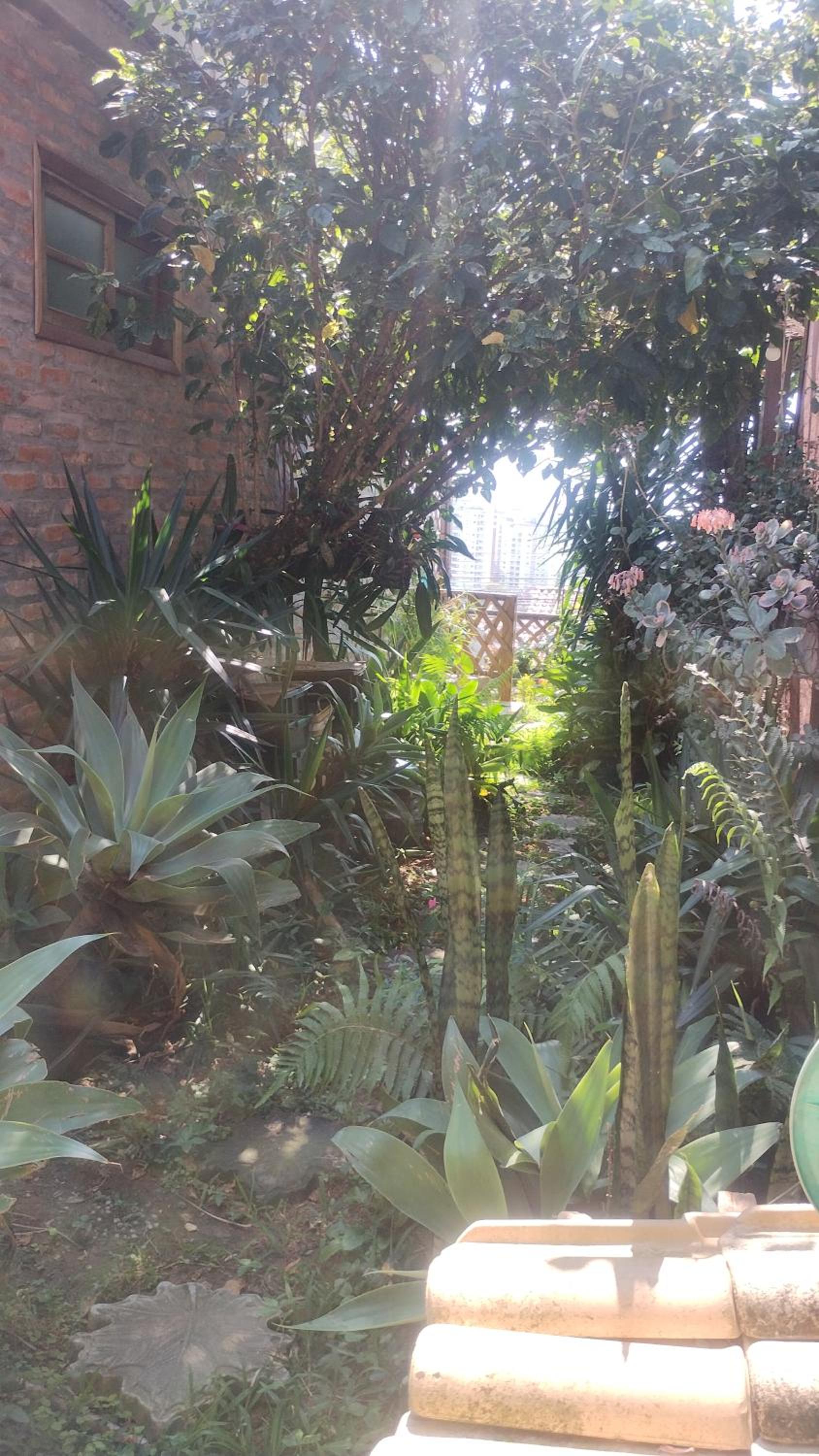 Casa na Ilha da Magia