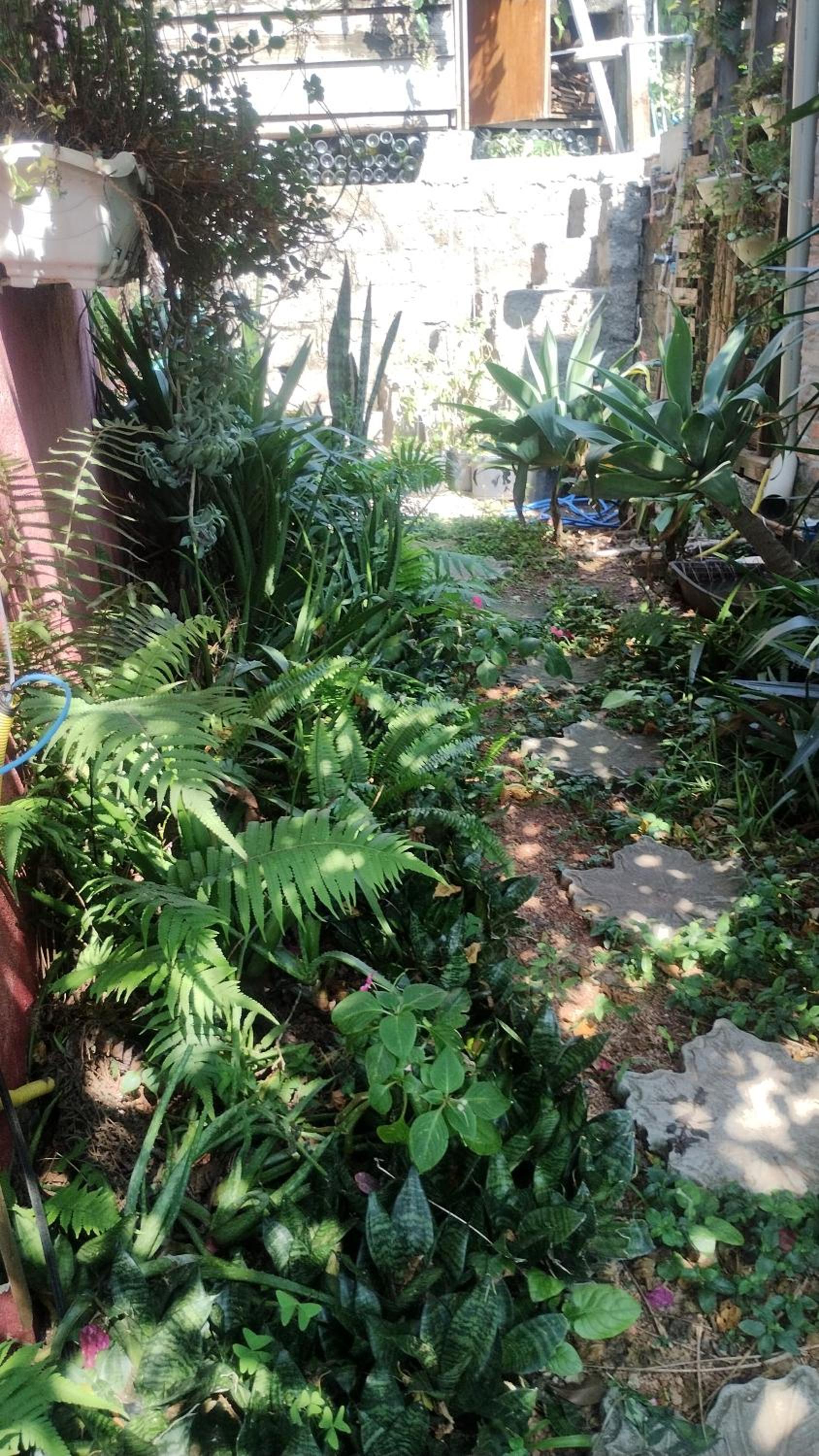 Casa na Ilha da Magia