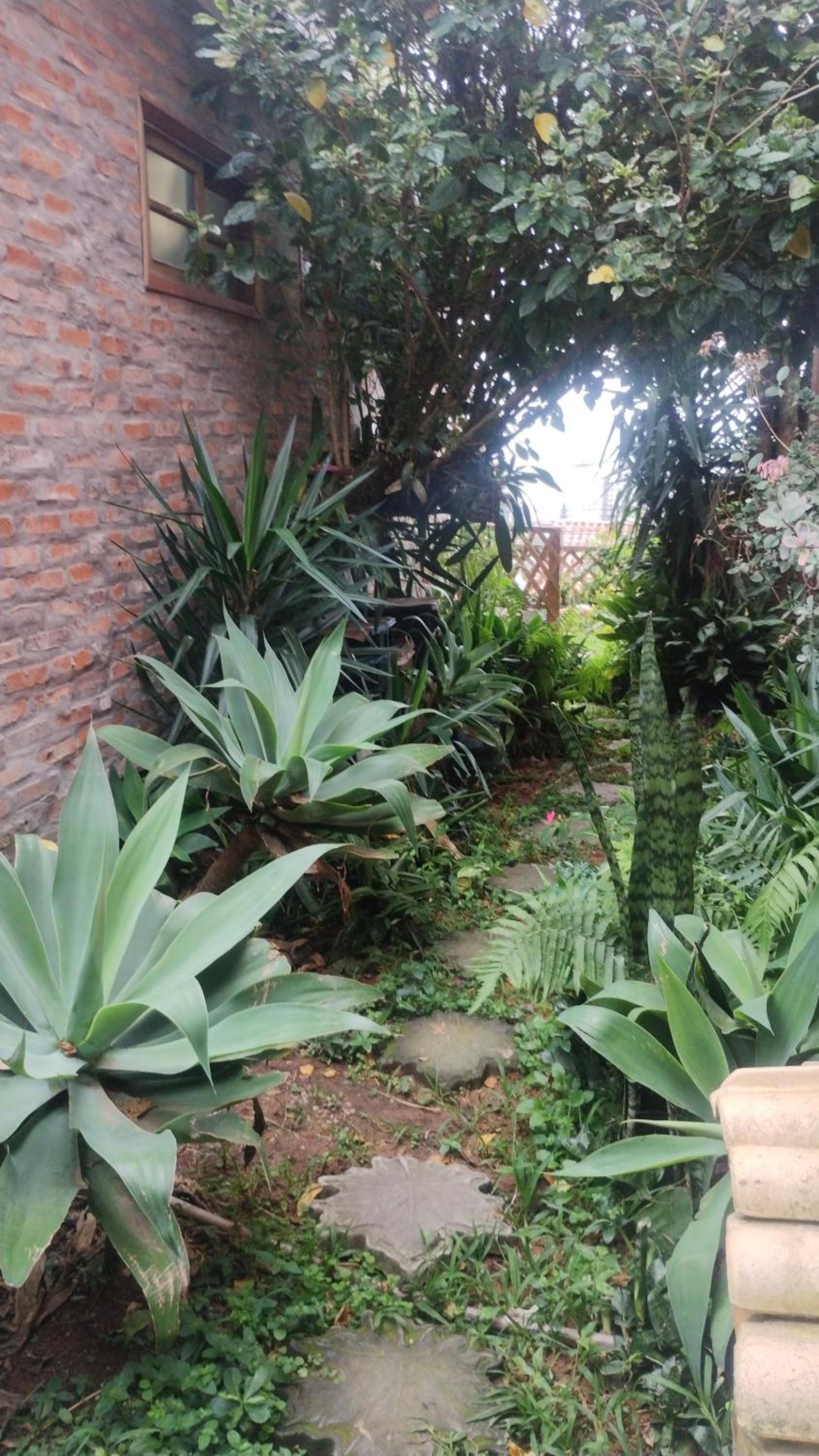 Casa na Ilha da Magia