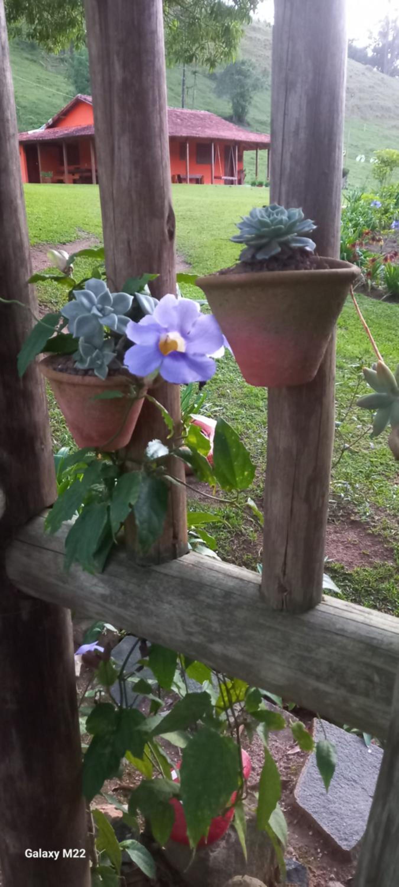 Chalé 02 beija flor