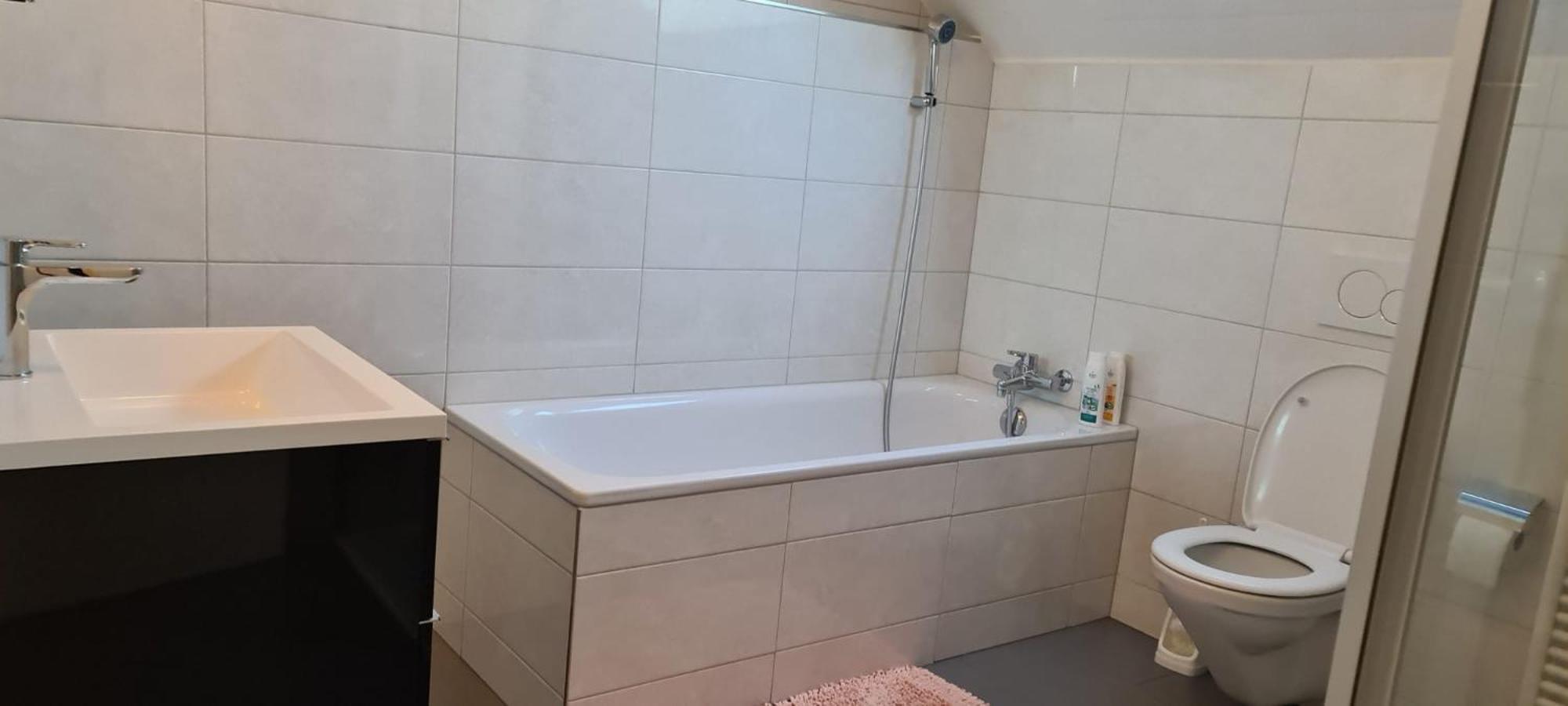 Edel Apartments Dulliken