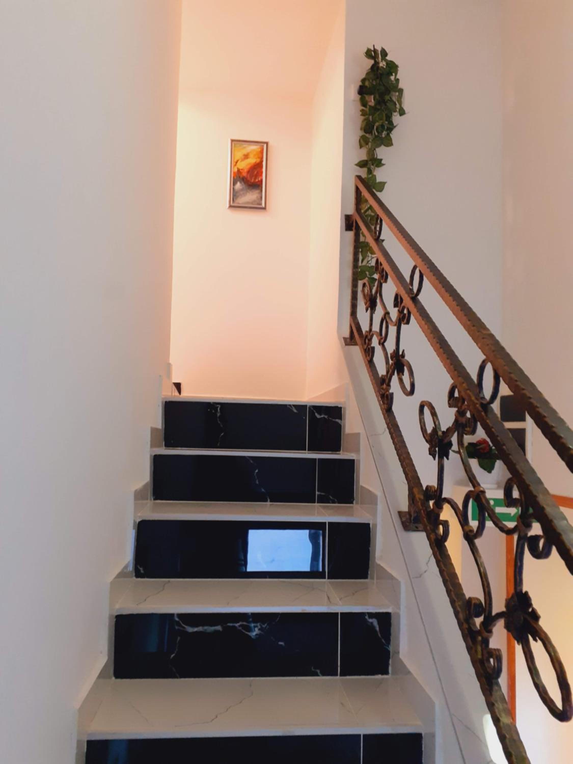 Apartmani Zaara