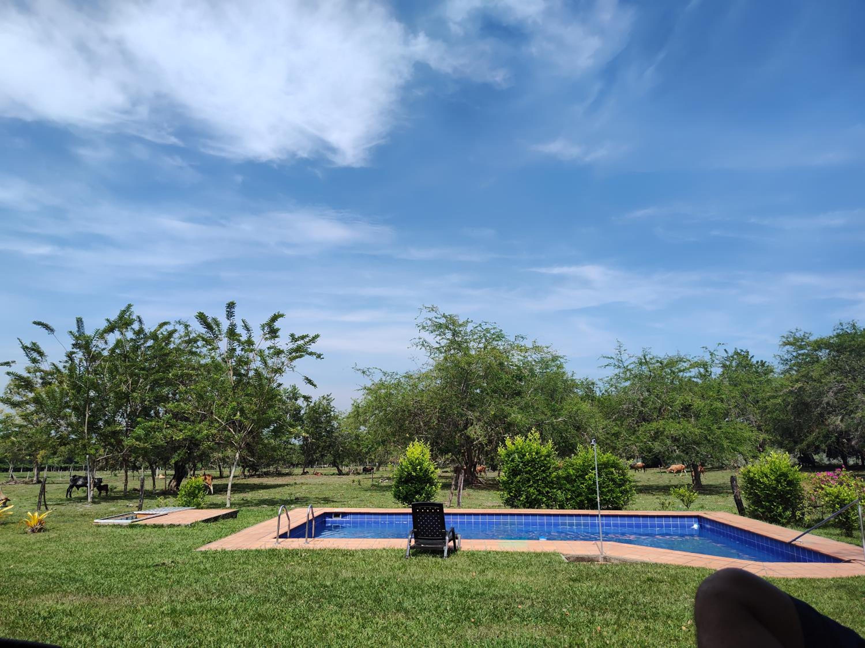 Finca Bellavista