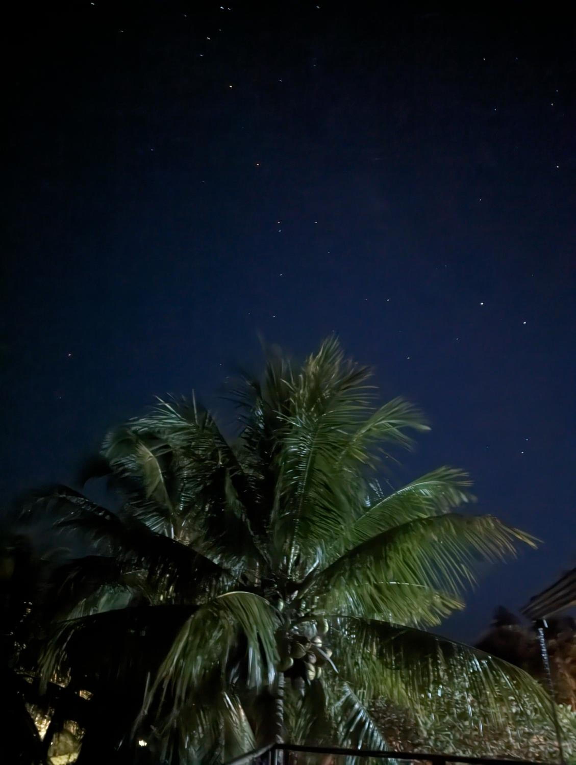 Slater's House - Casa de praia em frente ao mar