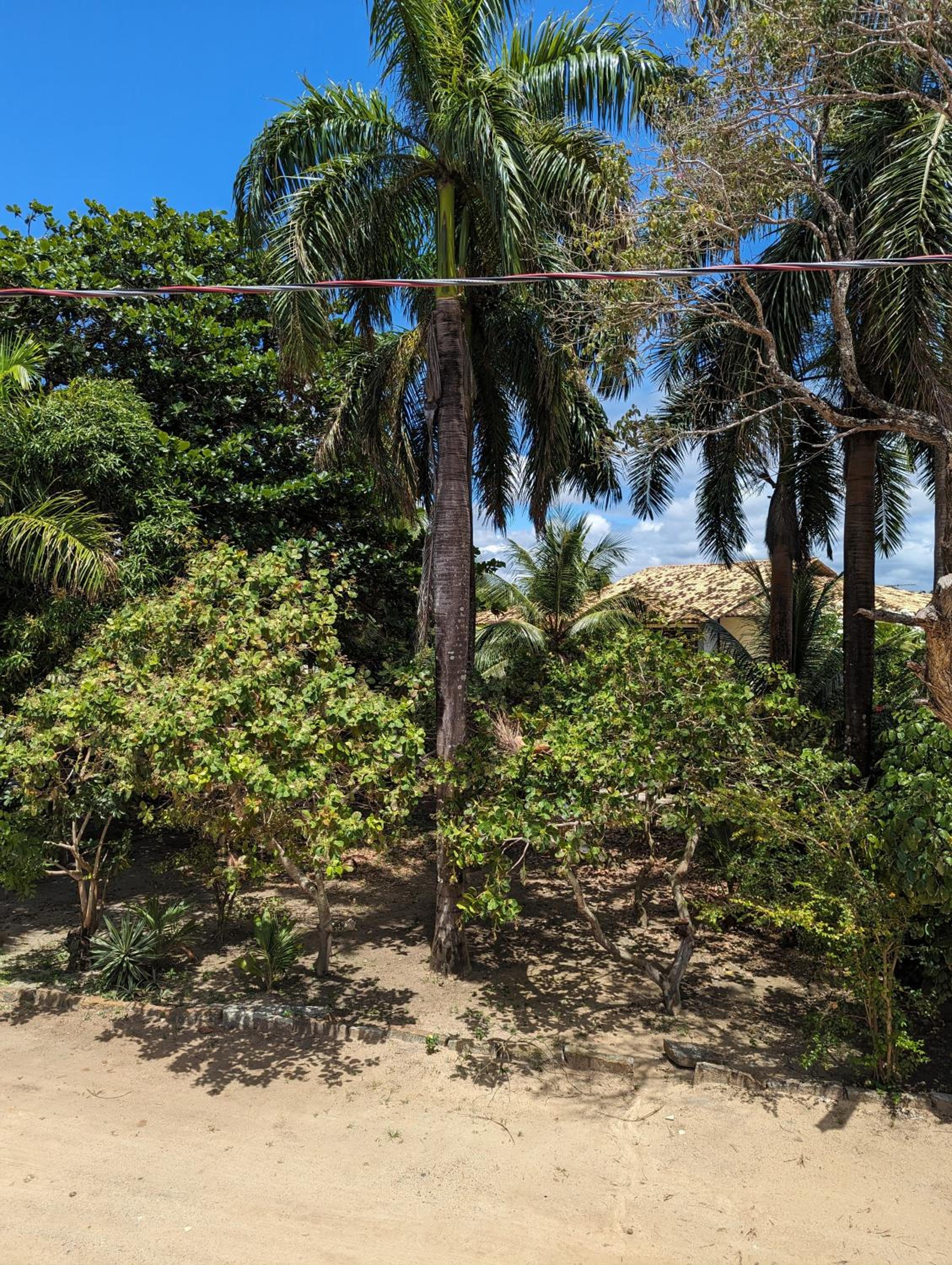 Slater's House - Casa de praia em frente ao mar
