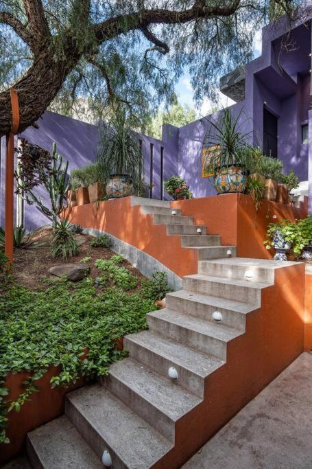 Casa Colibrí Luxury and tranquility in the downtown area.