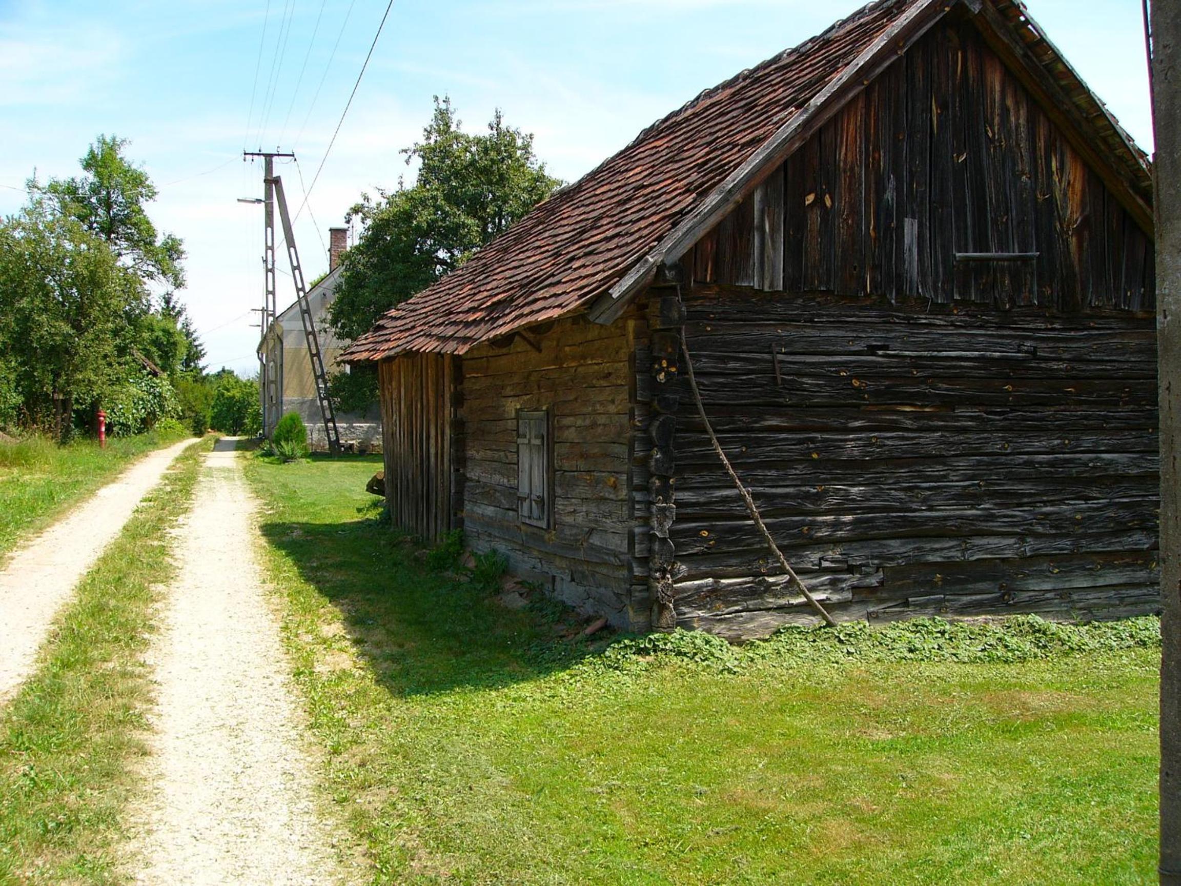 Photo 11