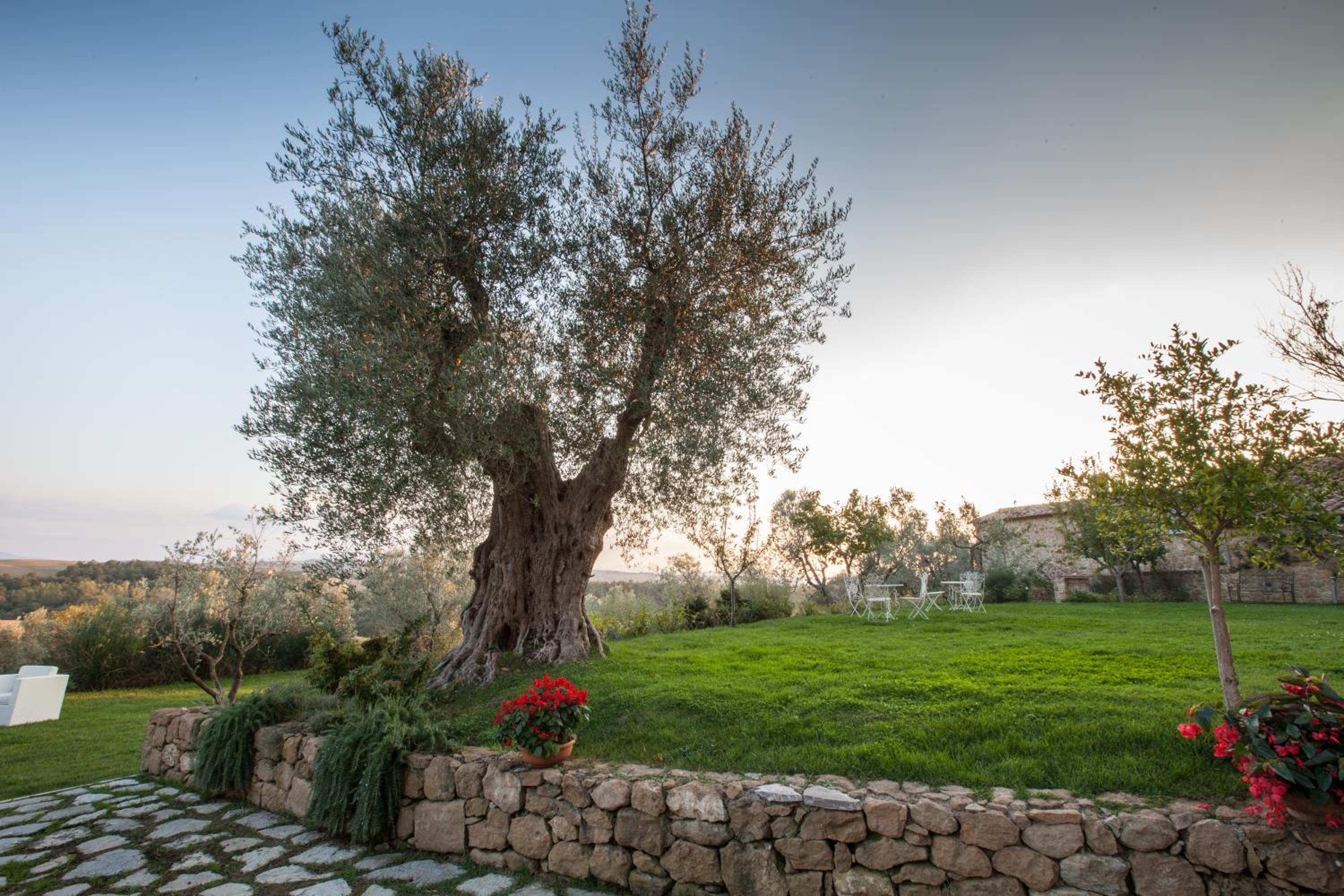 Borgo Sant'Ambrogio - Resort