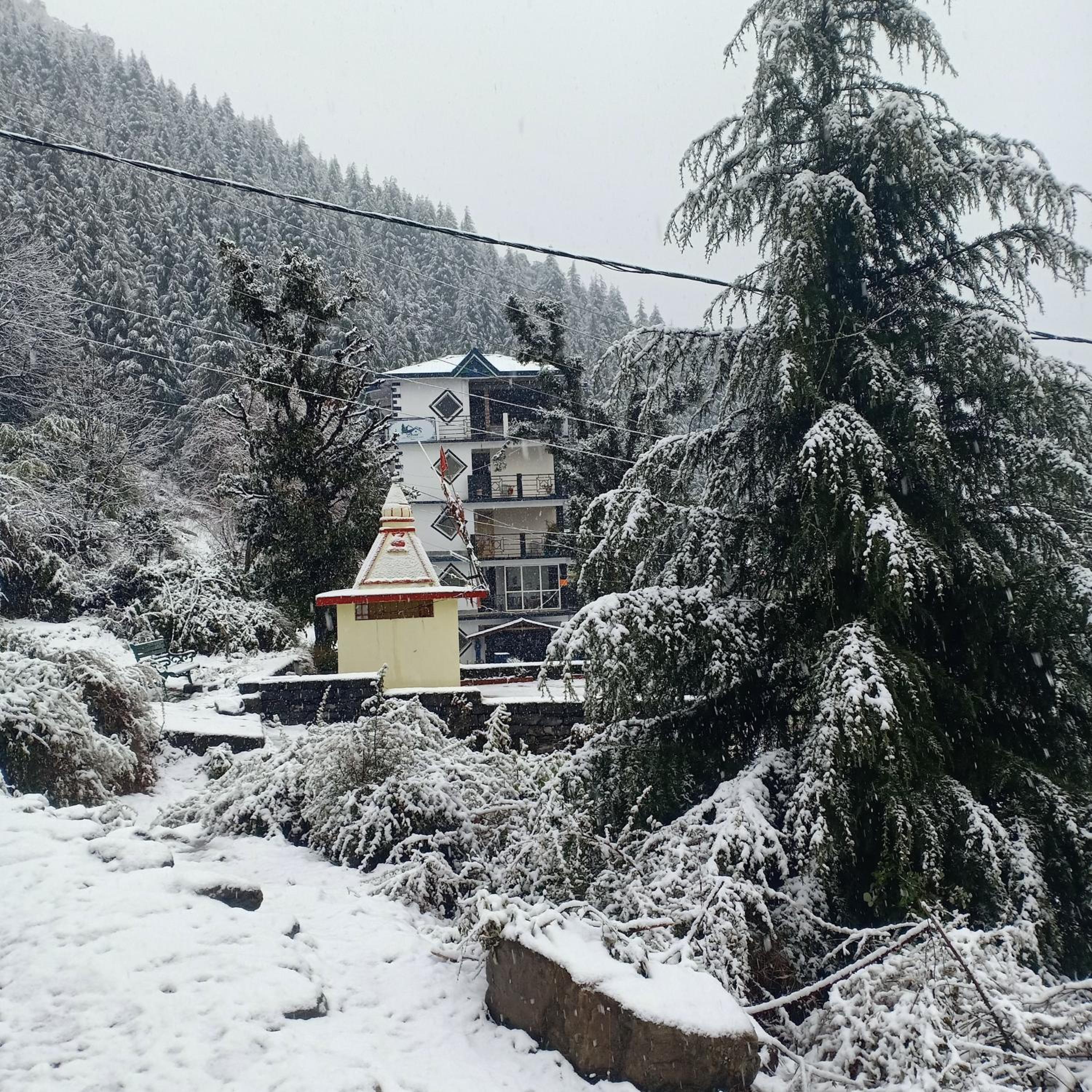 Oasis Guest House Bhagsu D'shala