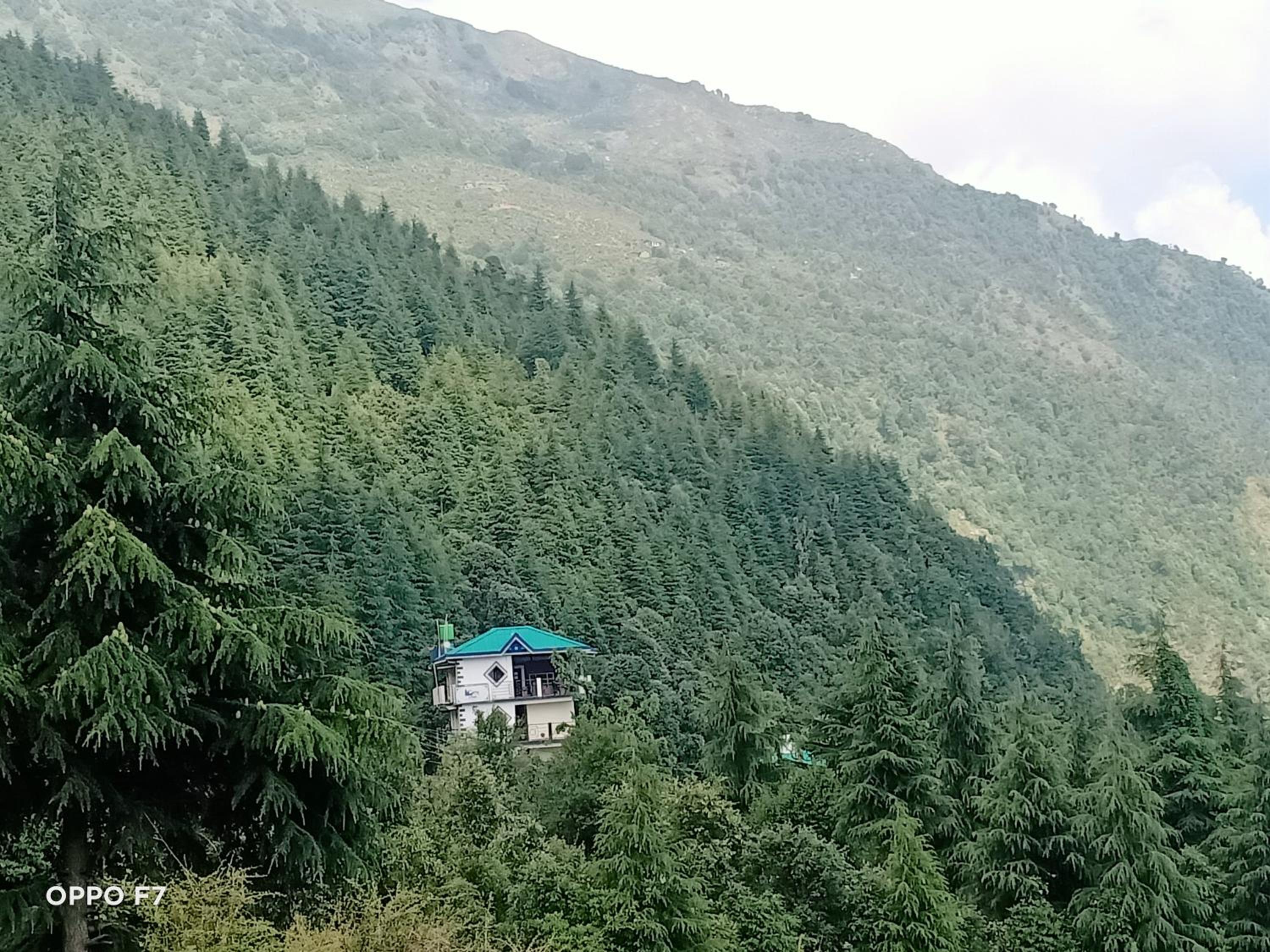 Oasis Guest House Bhagsu D'shala