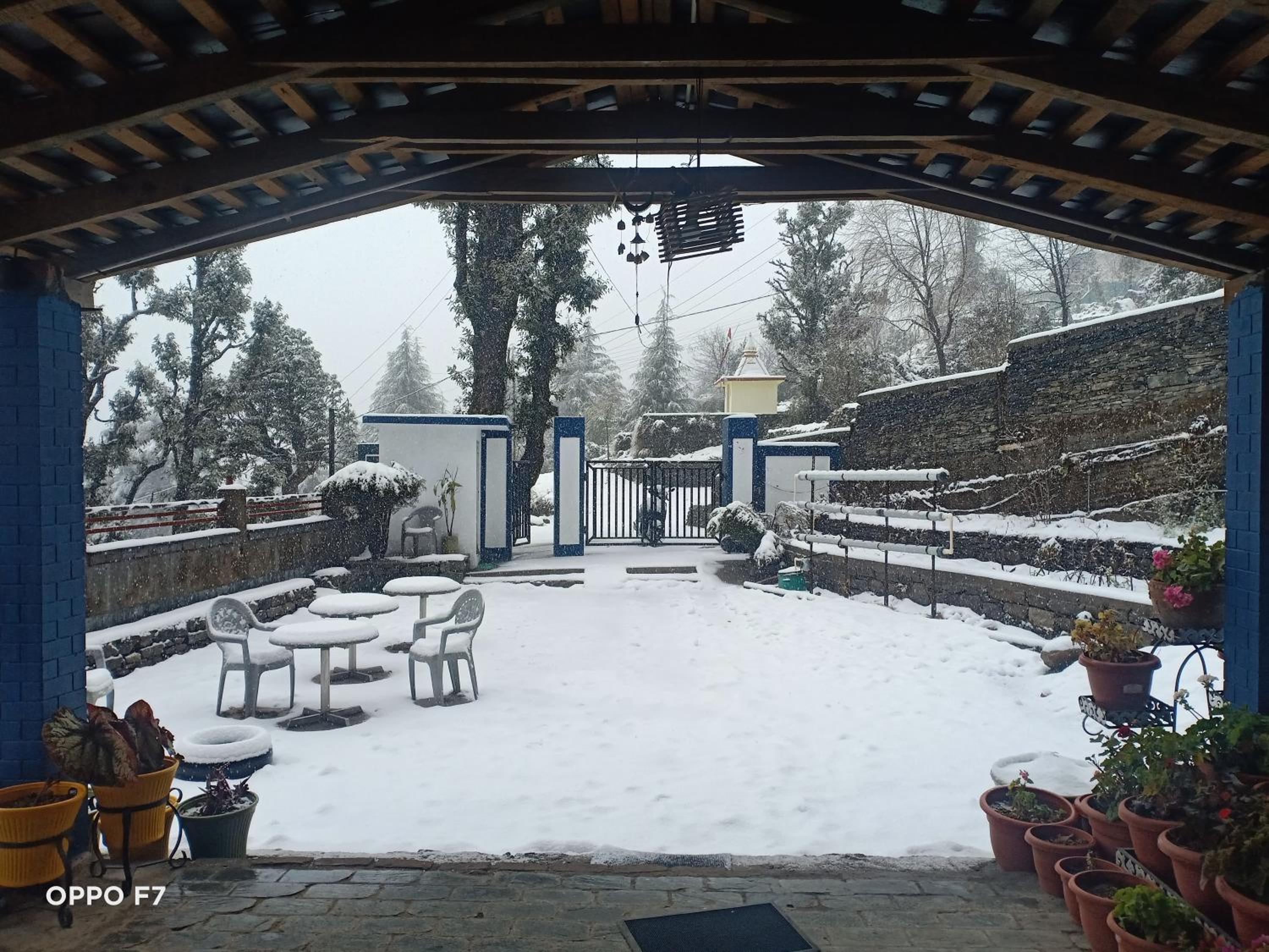 Oasis Guest House Bhagsu D'shala