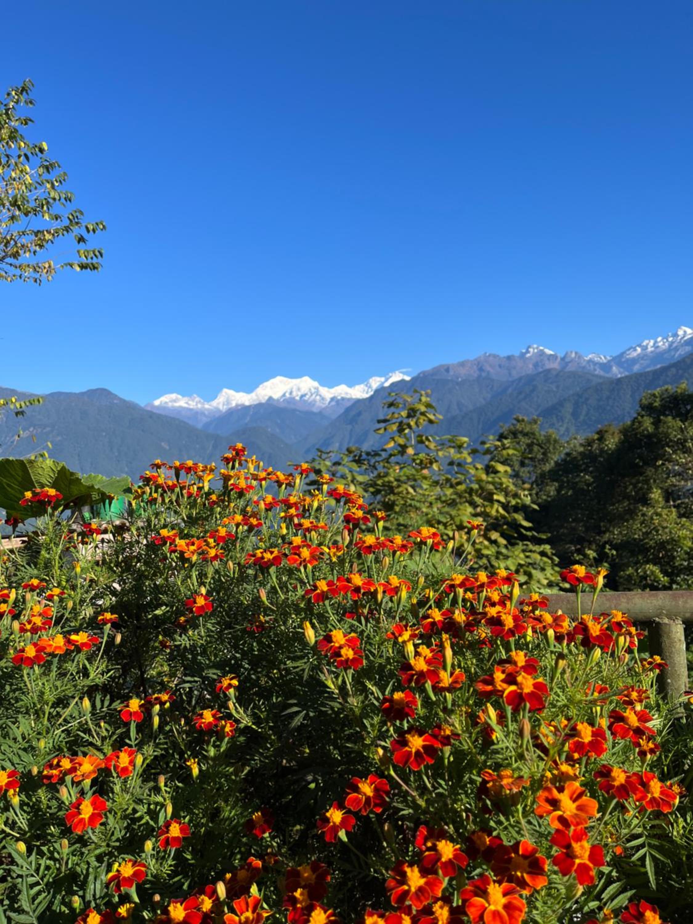 Ifseen Villa view 2