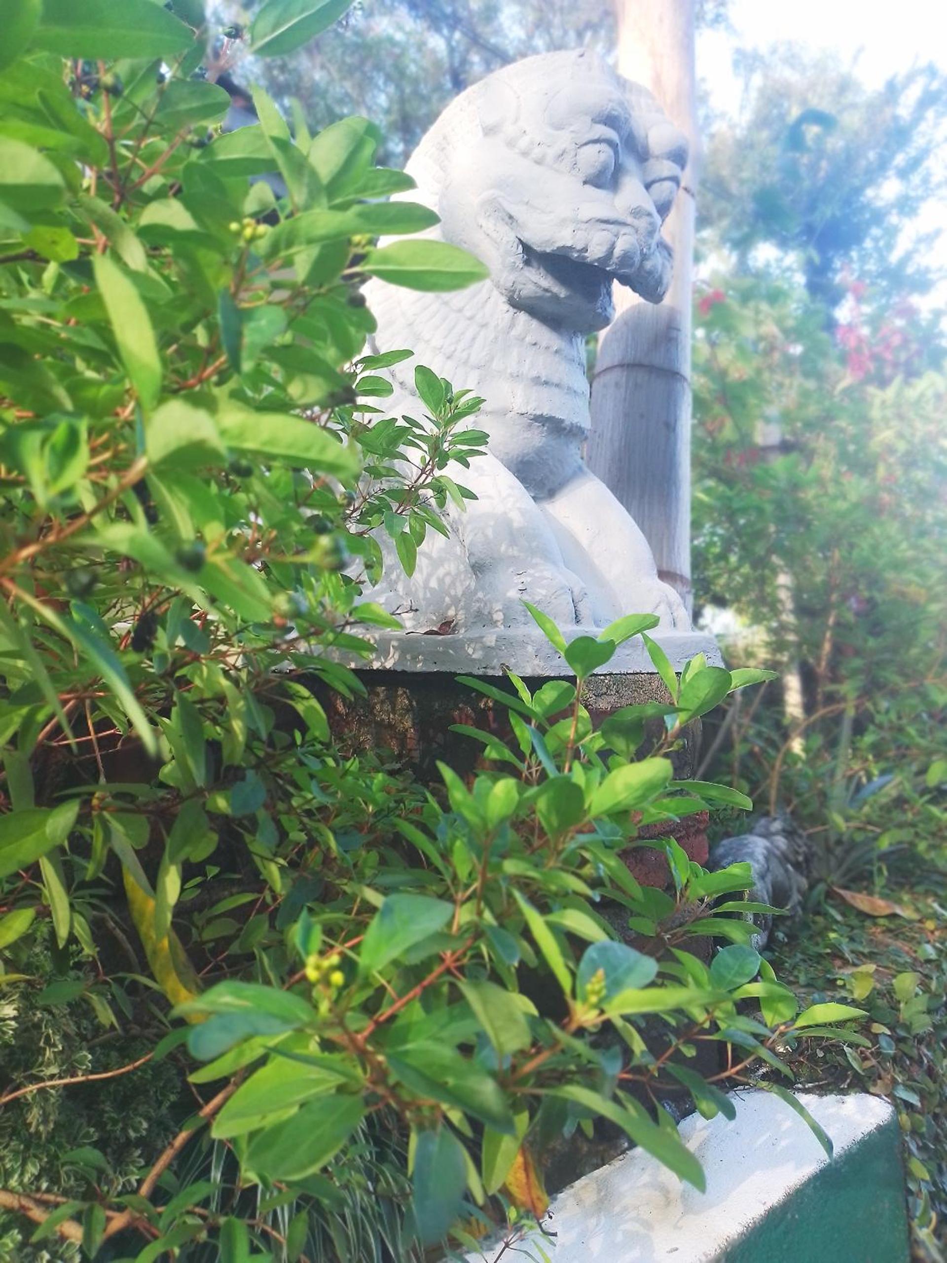Photo 19