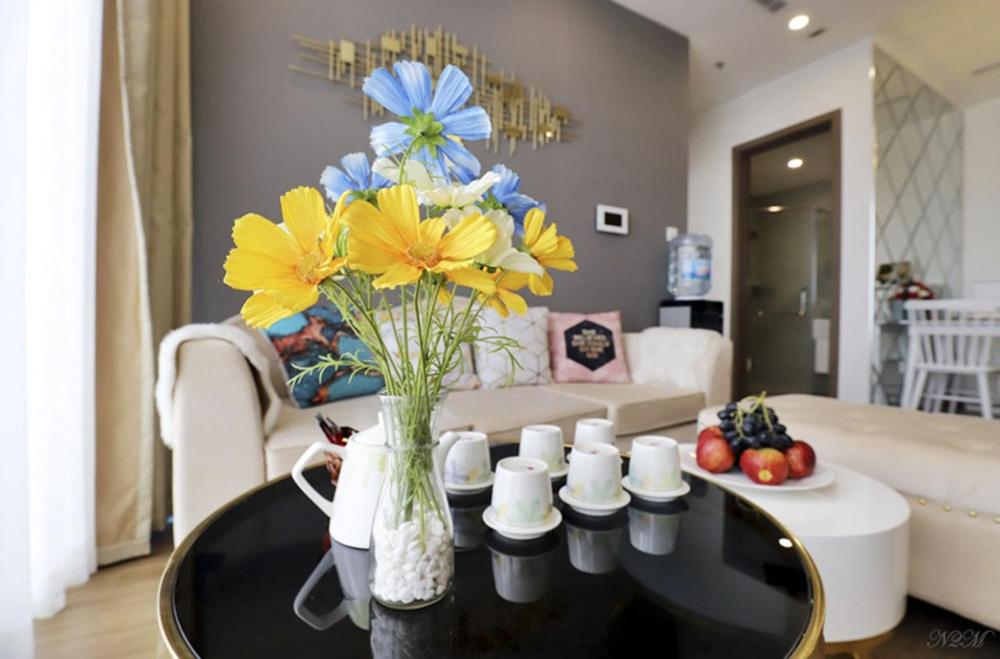 Q's home Vinhomes Skylake
