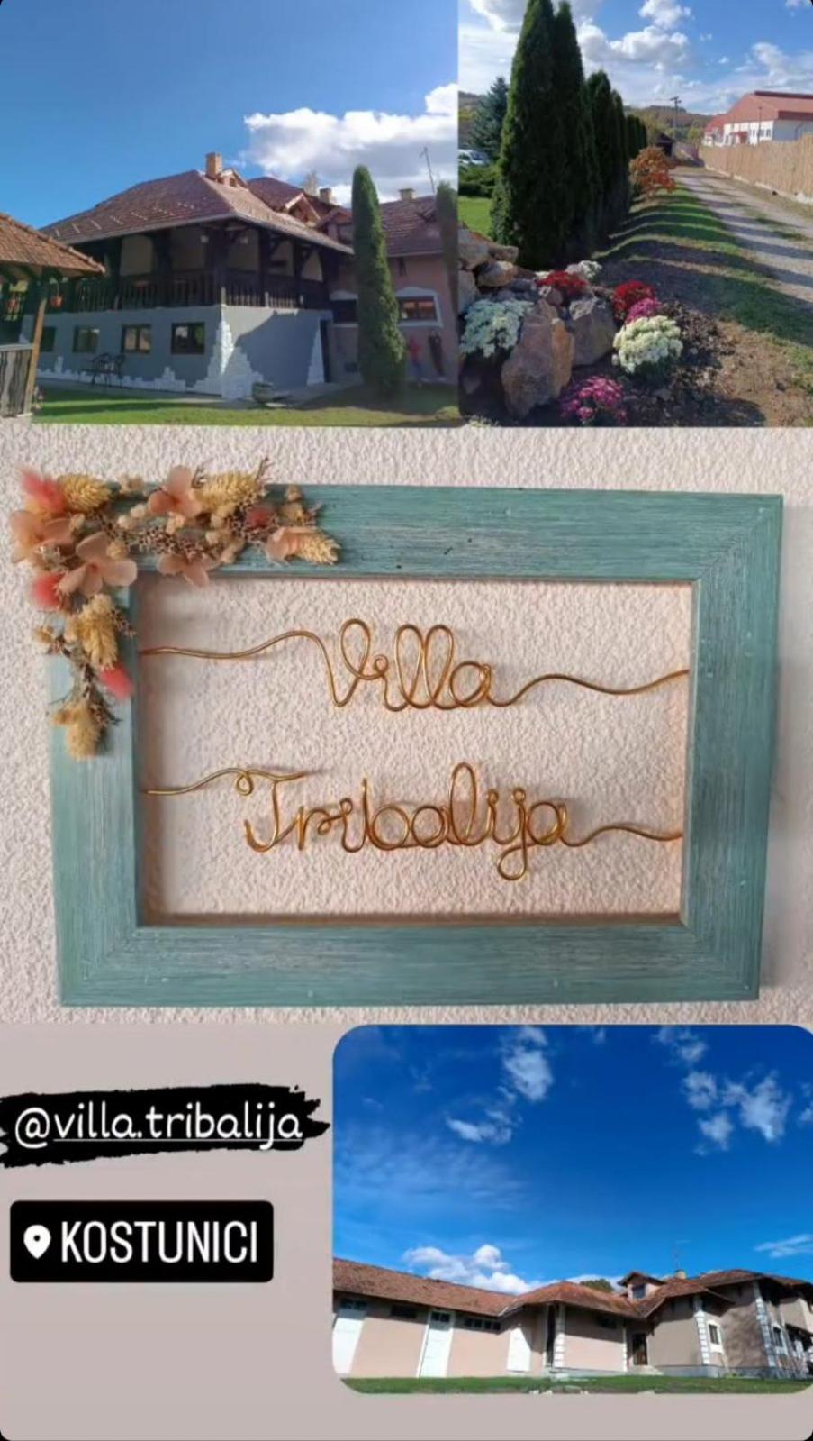Vila Tribalija