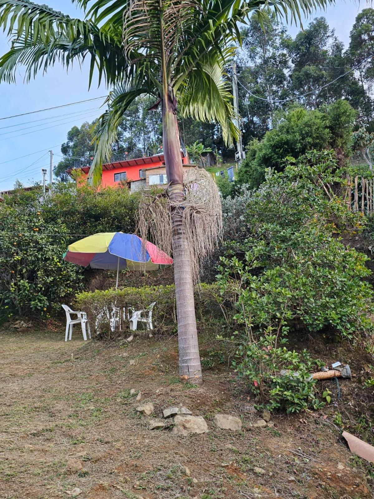 Pedasito de cielo