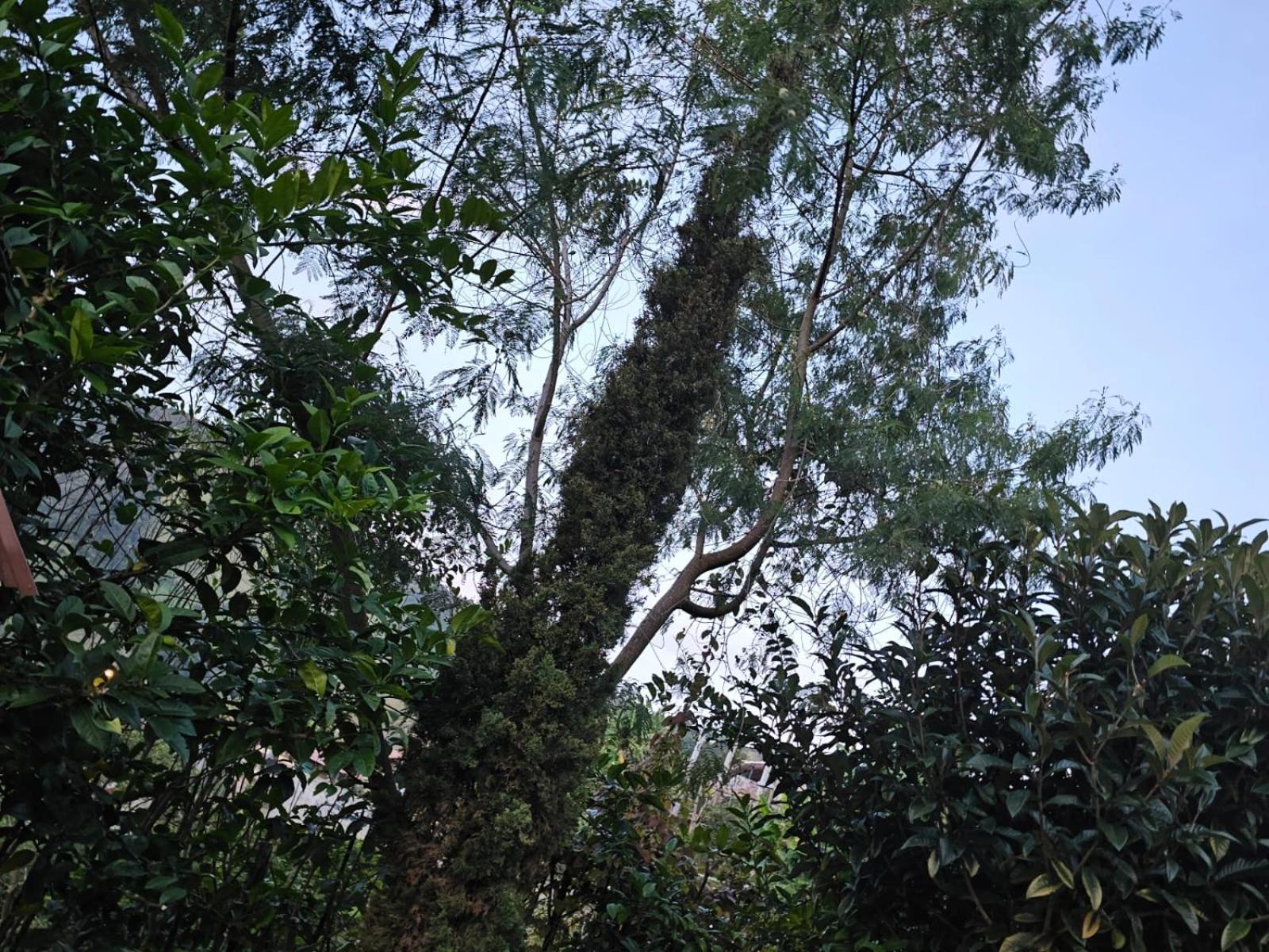 Pedasito de cielo