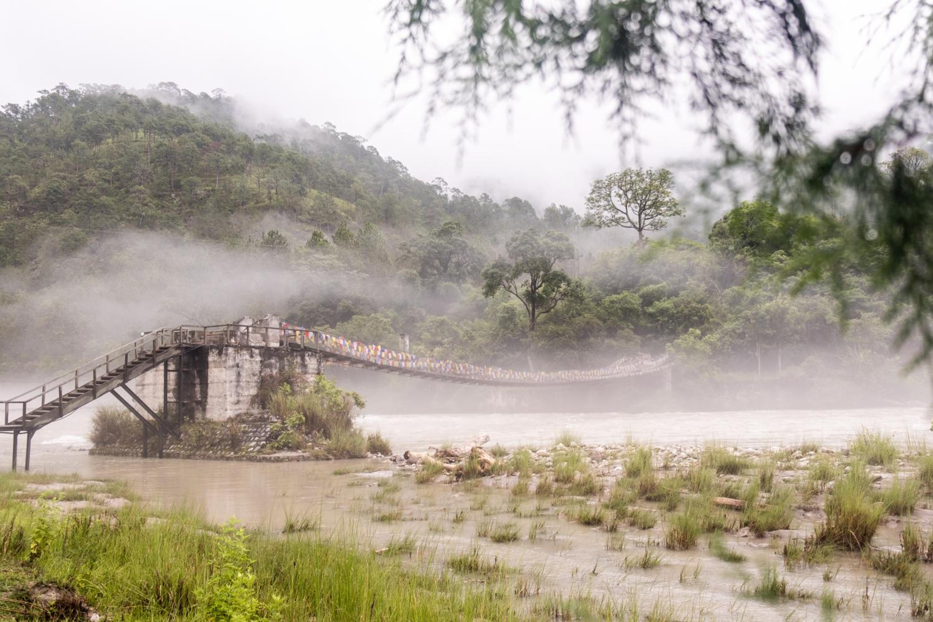Pemako Punakha