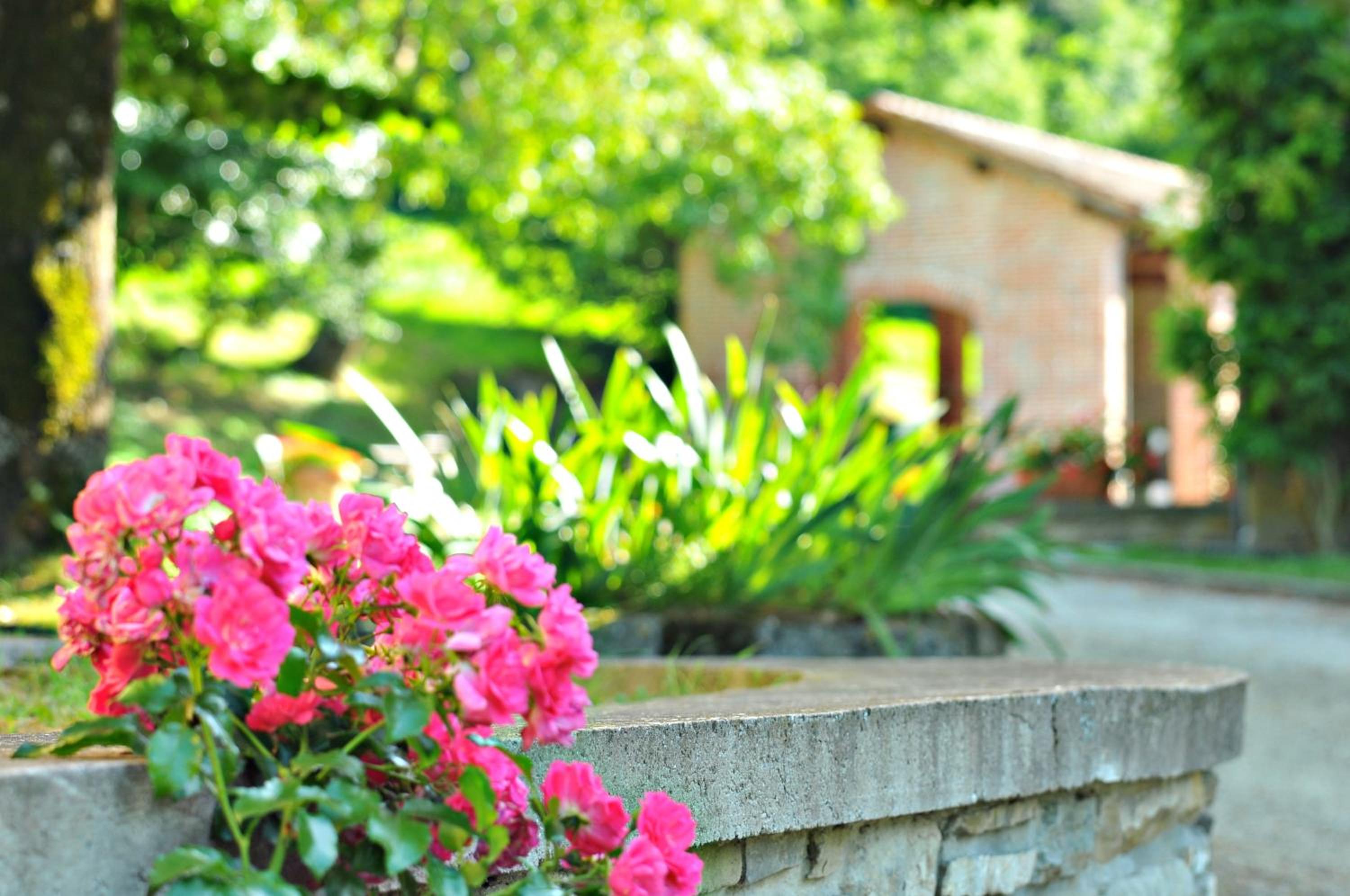 Agriturismo Popolano Di Sotto