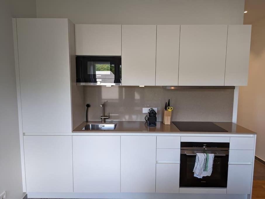 Refurbished 1BR Apartment in Limpertsberg view 3