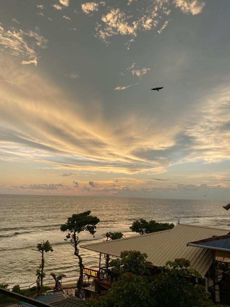 Pupa Homestay &Surf school